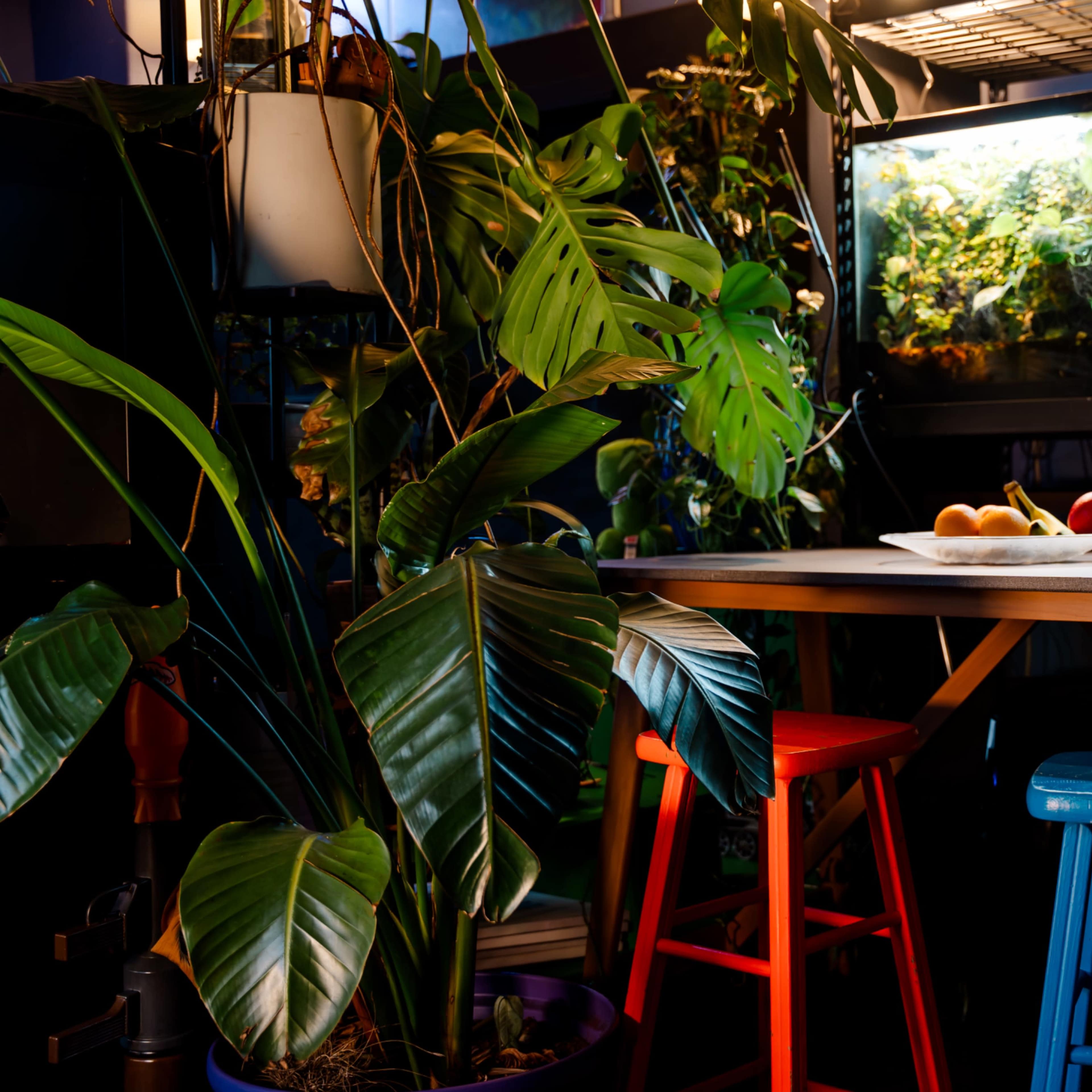 GreenThumb studios Image in Downtown Atlanta, Atlanta, GA