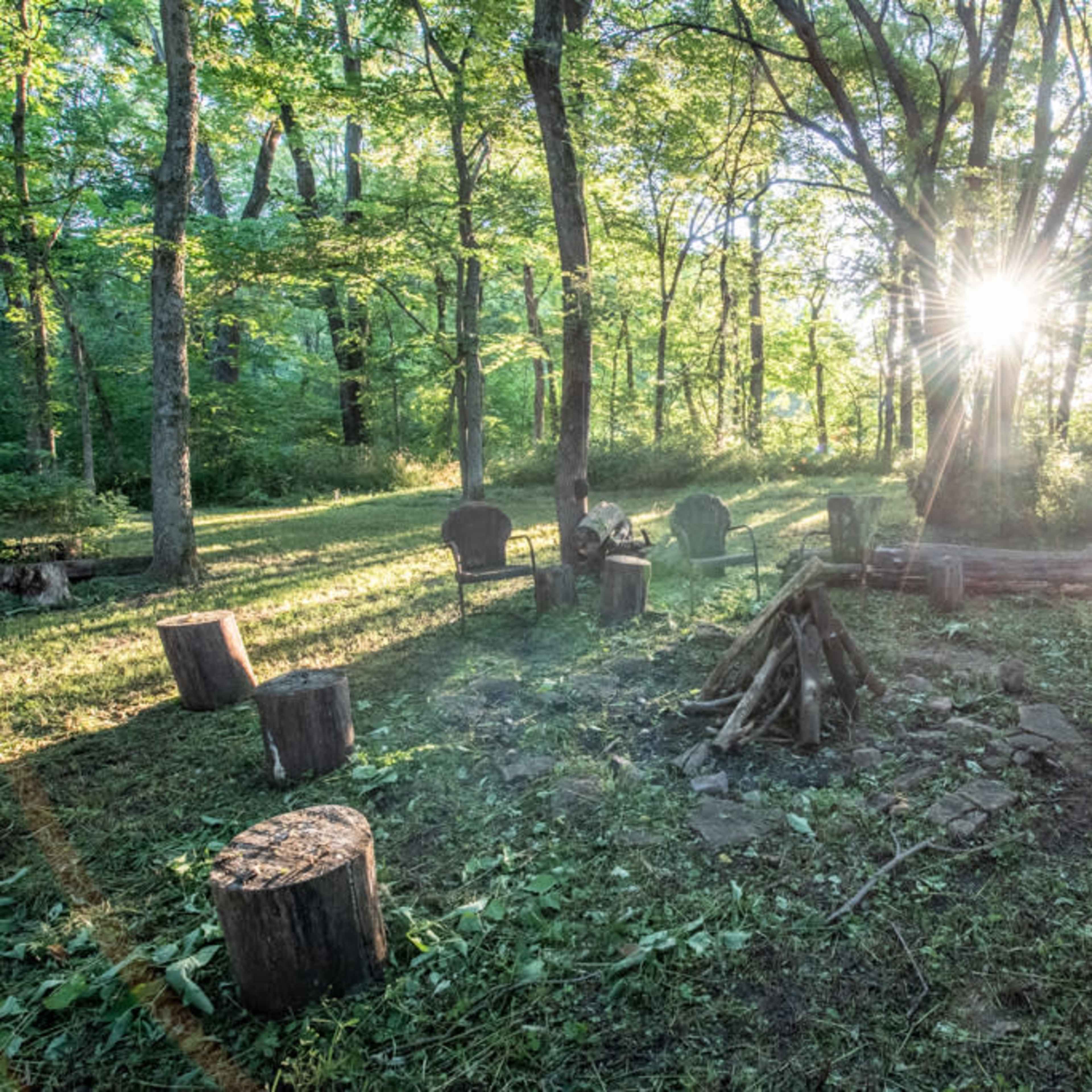 A fire pit surrounded by log seats is illuminated by sunlight filtering through the trees in a forest clearing.