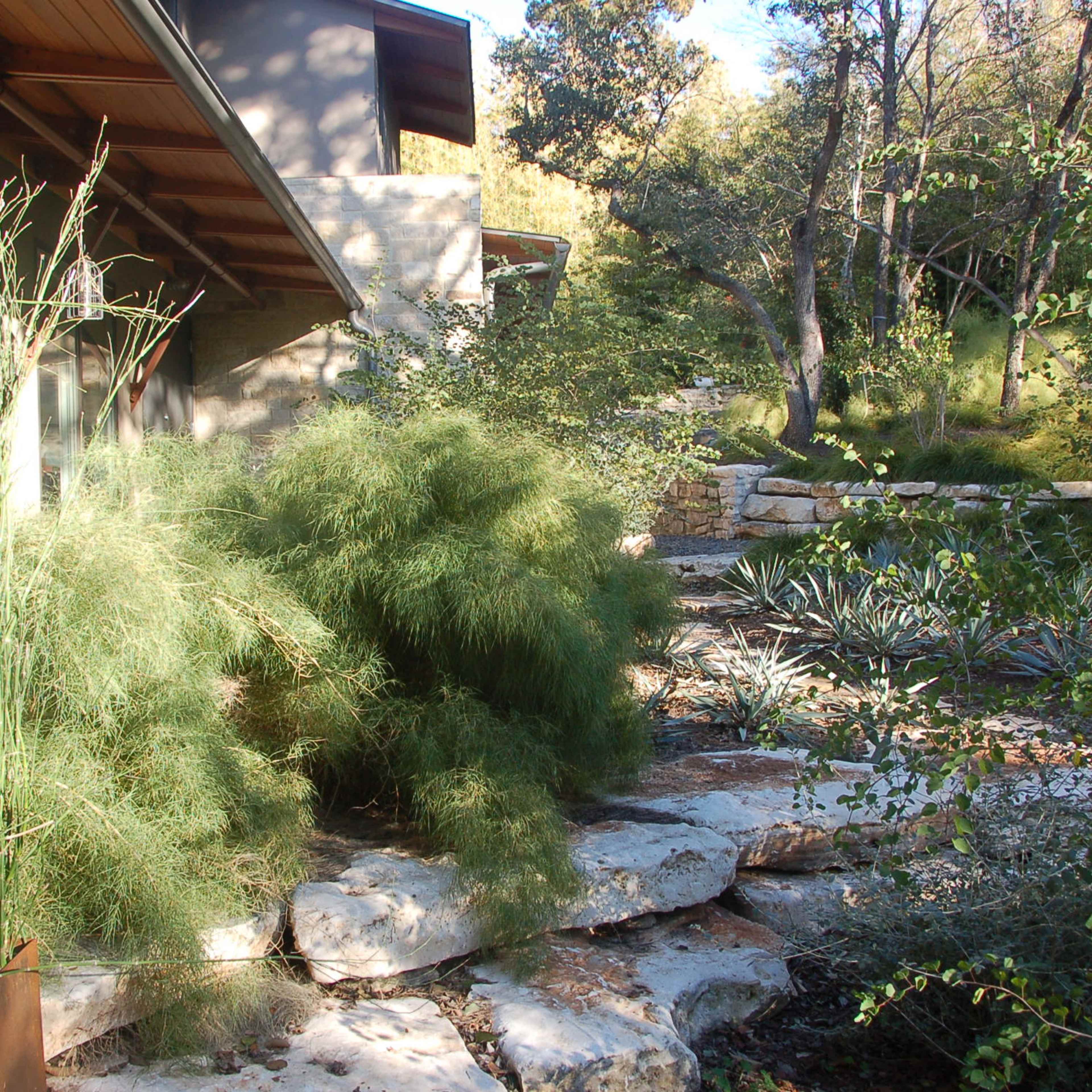 A landscaped garden with natural stone pathways and various plants, including dense greenery and agave.