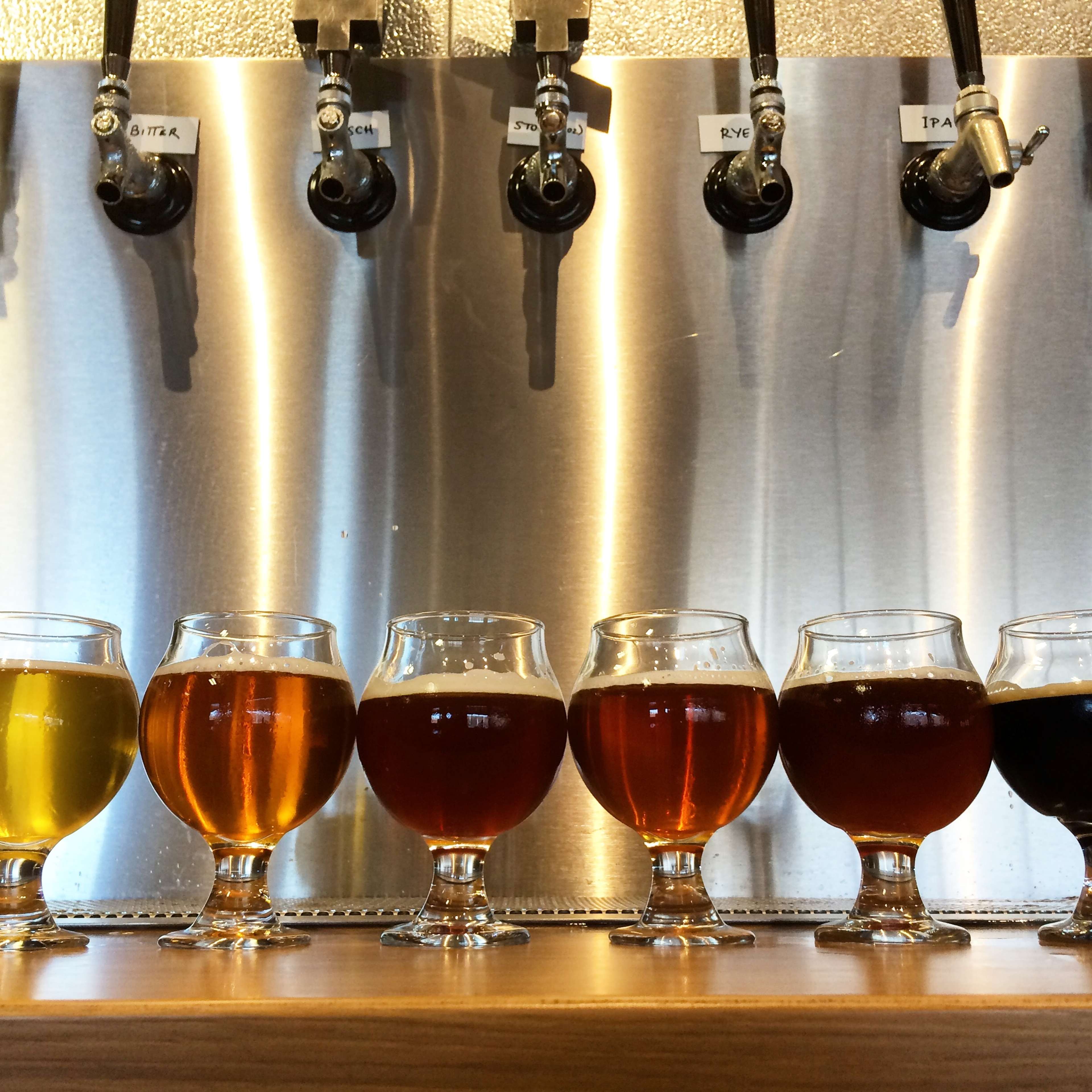 Six different glasses of beer lined up in front of a silver tap wall.