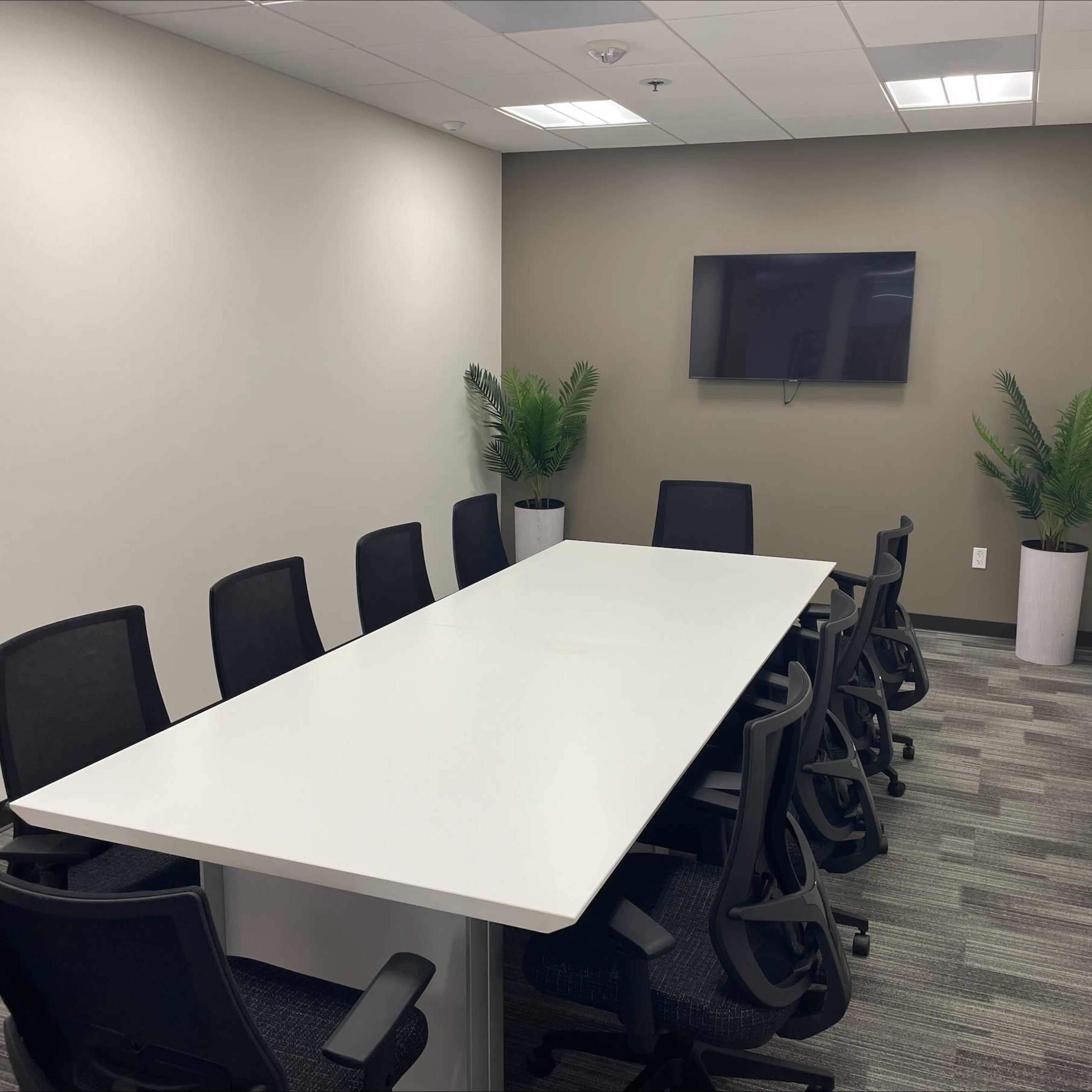 A conference room features a long white table surrounded by black chairs and a wall-mounted television, with potted plants in each corner.