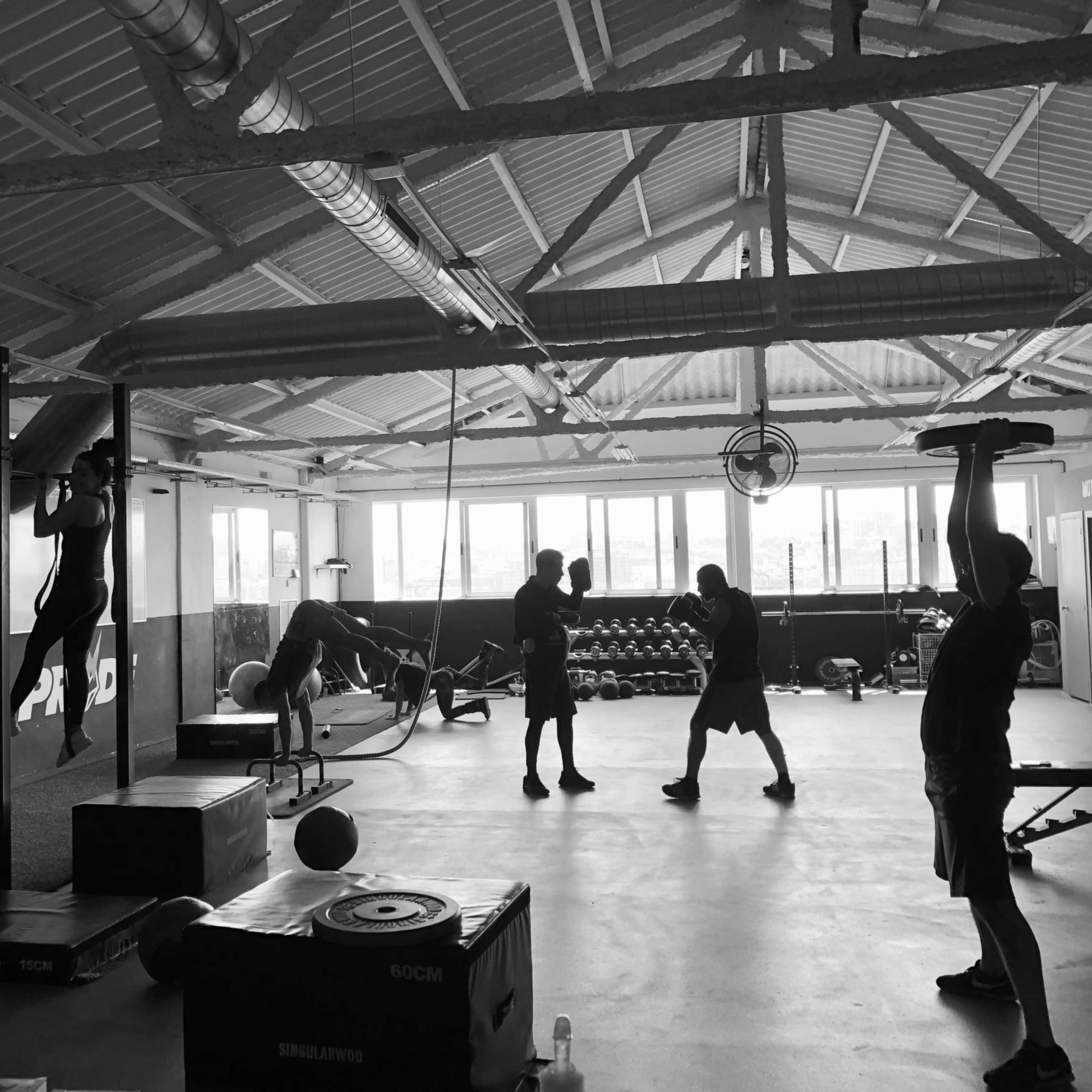 A gym interior features several people engaged in various strength and conditioning exercises, including pull-ups and weights.