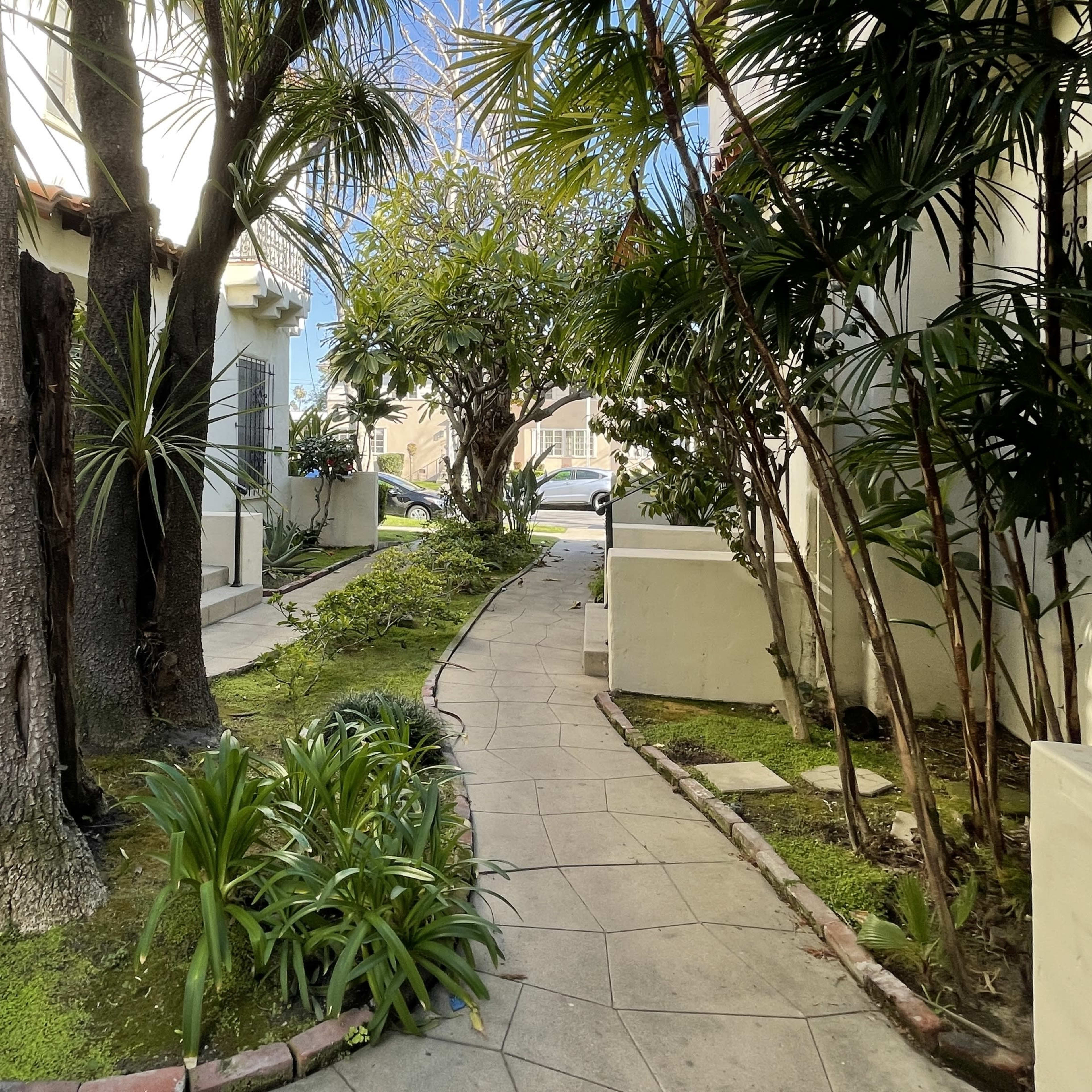 A narrow pathway winding between lush greenery and trees in a landscaped area.