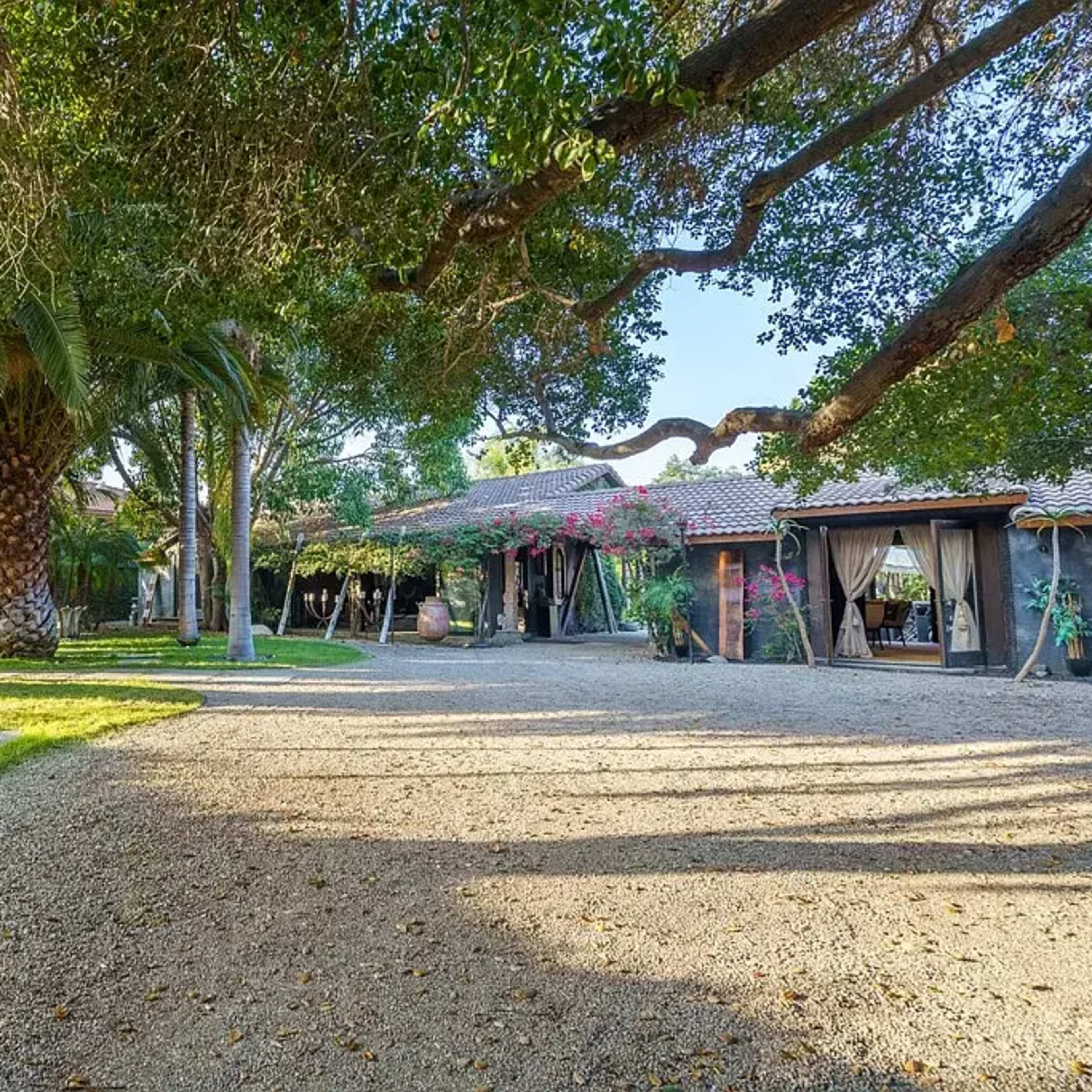 A landscaped outdoor area featuring palm trees, a hammock, and a rustic building surrounded by gravel pathways and greenery.