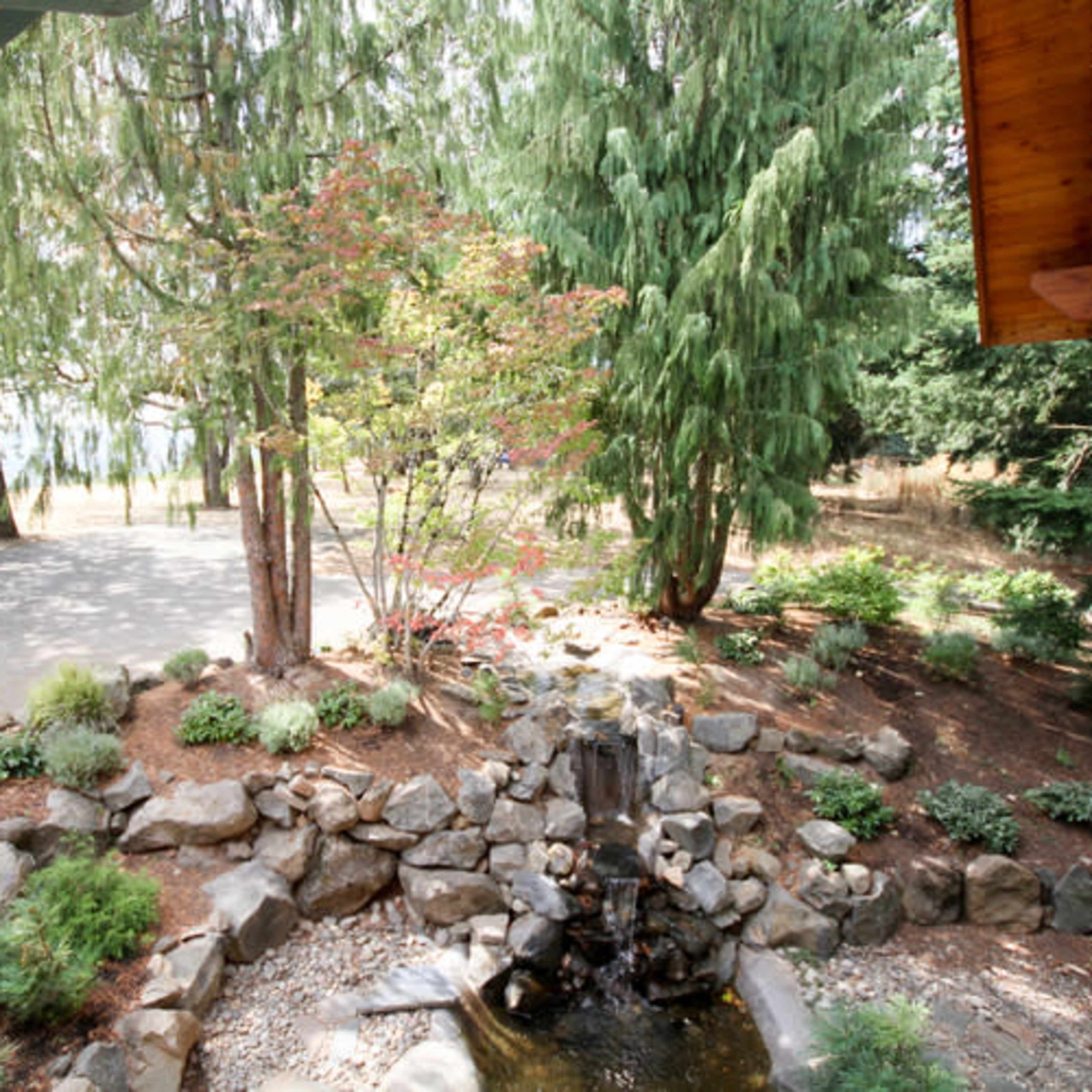A stone-bordered water feature is surrounded by greenery and trees near a gravel path.