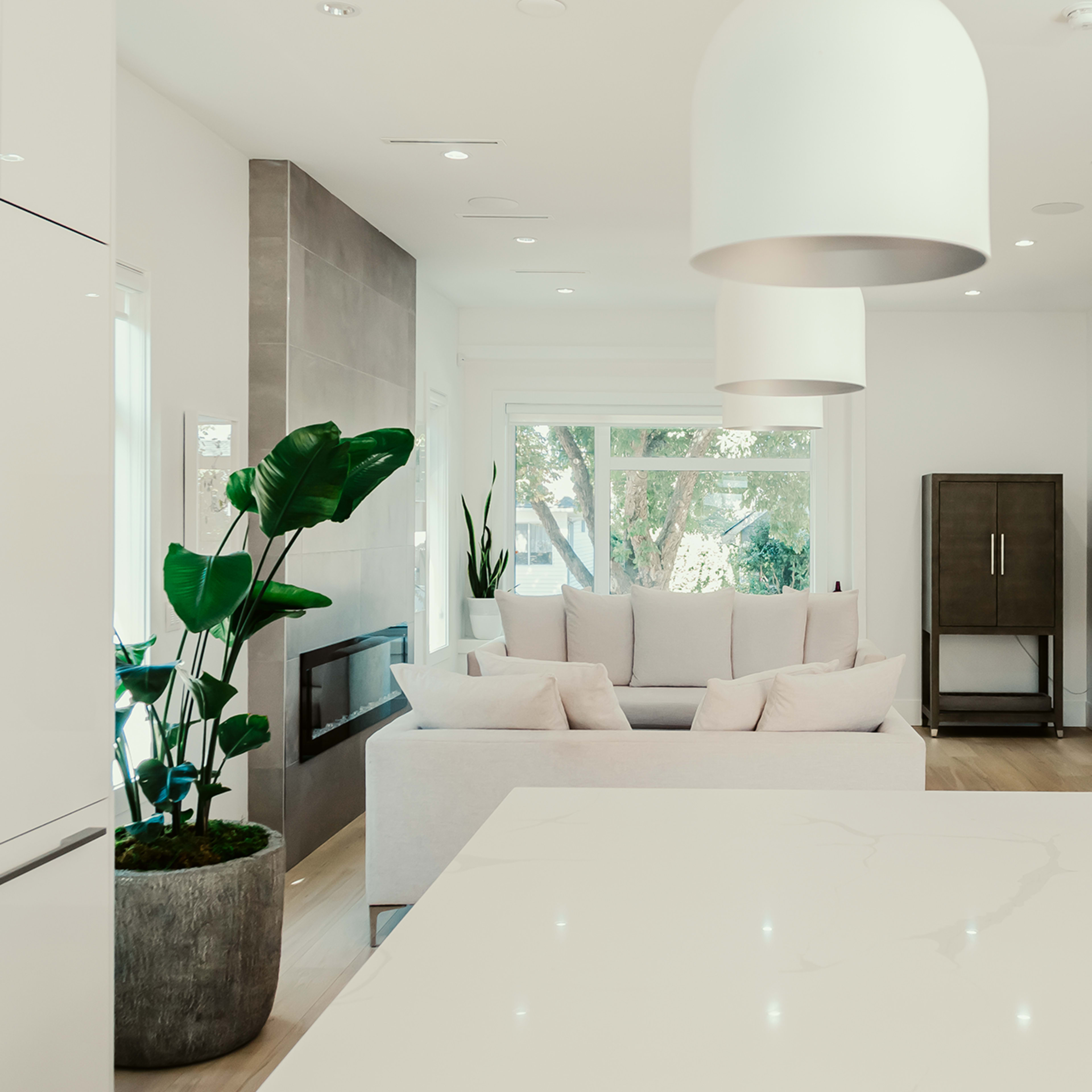 A modern interior living space featuring a light-colored sofa, a potted plant, and a marble-topped kitchen island.