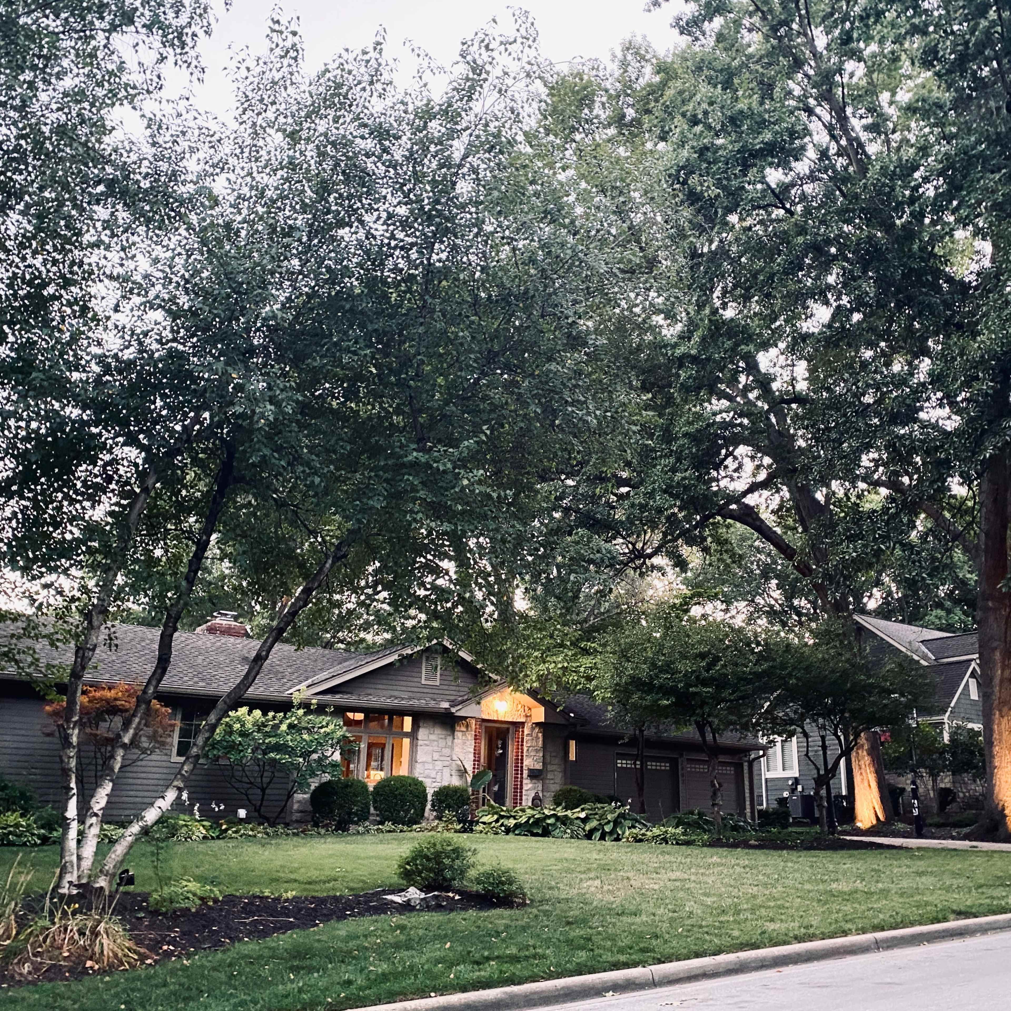 A suburban neighborhood features two houses surrounded by large trees and well-maintained lawns during dusk.
