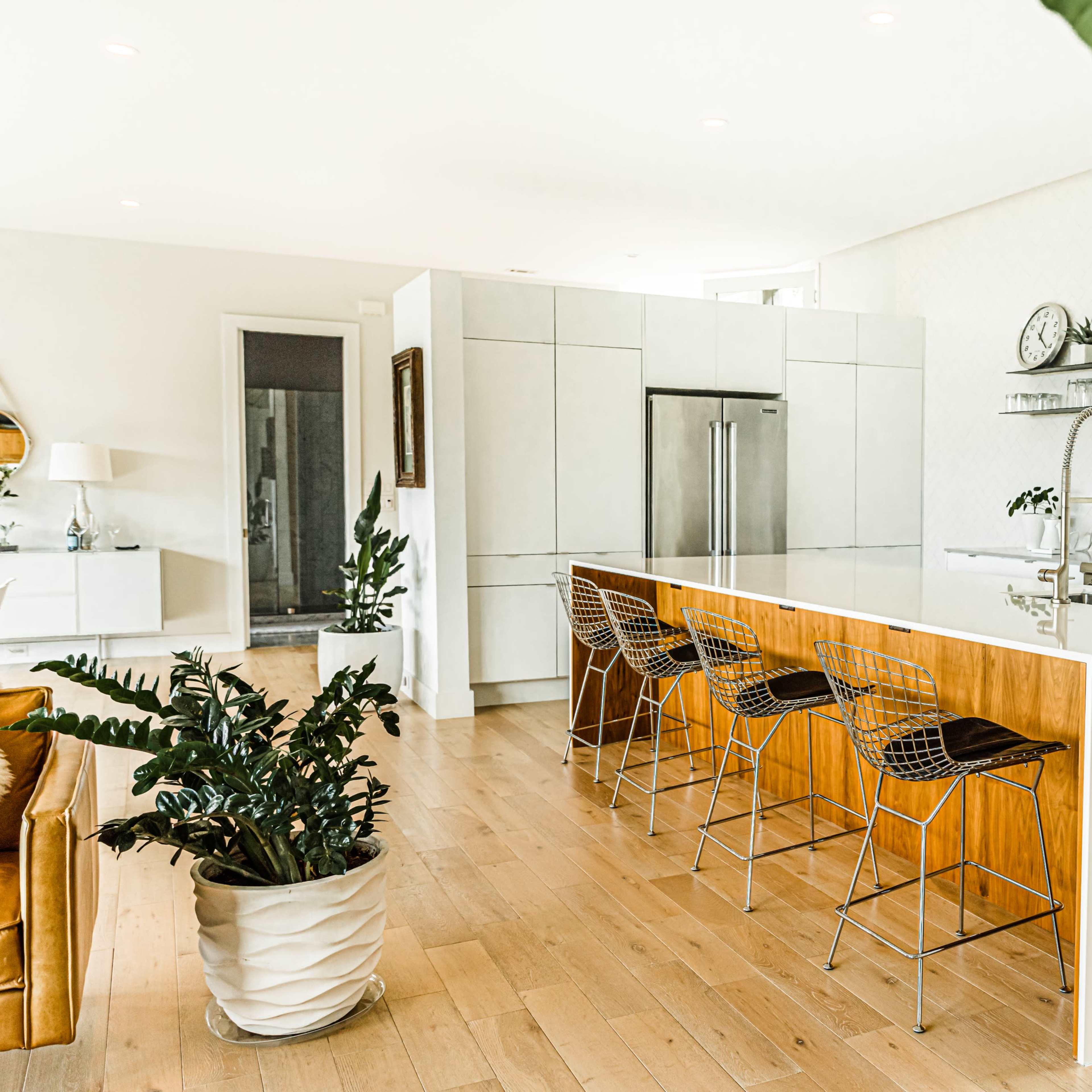 A modern kitchen features a large island with bar stools, stainless steel appliances, and plants in decorative pots.