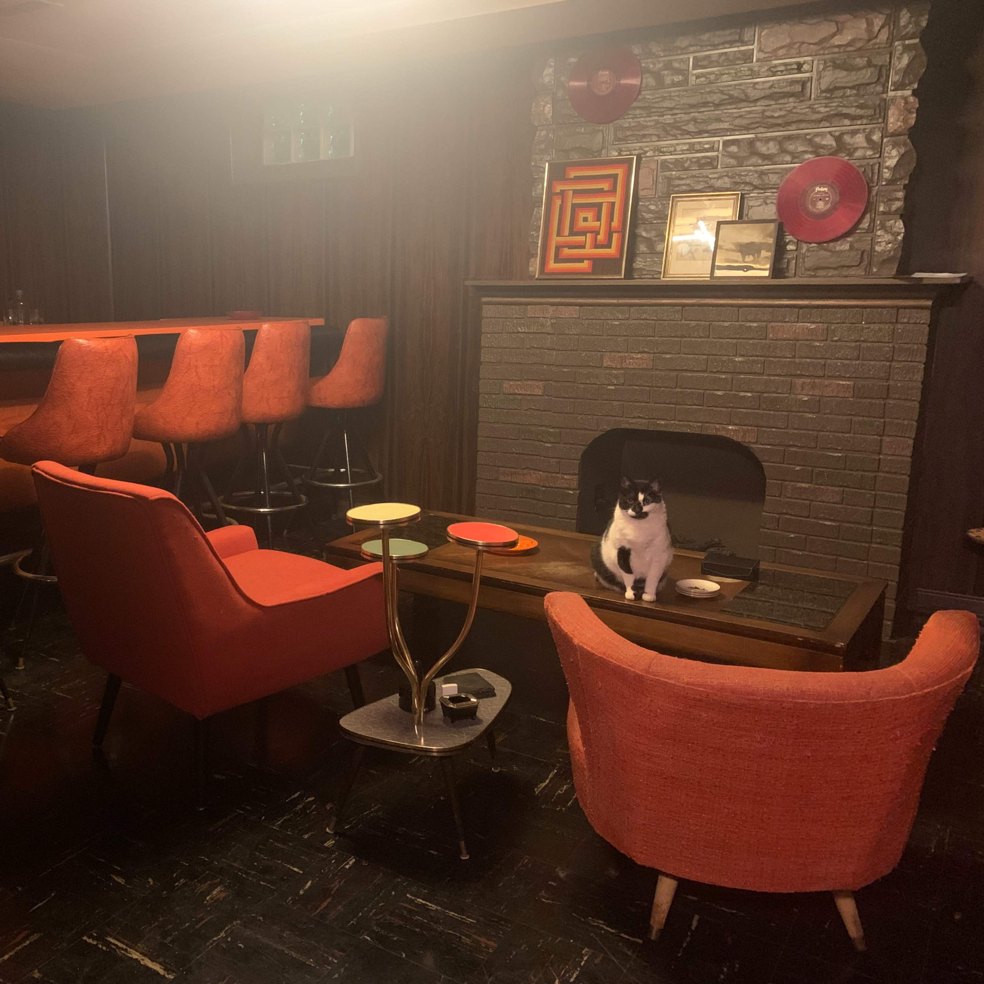 A retro-styled lounge features a bar with orange stools, a fireplace, and a black and white cat sitting on a coffee table.