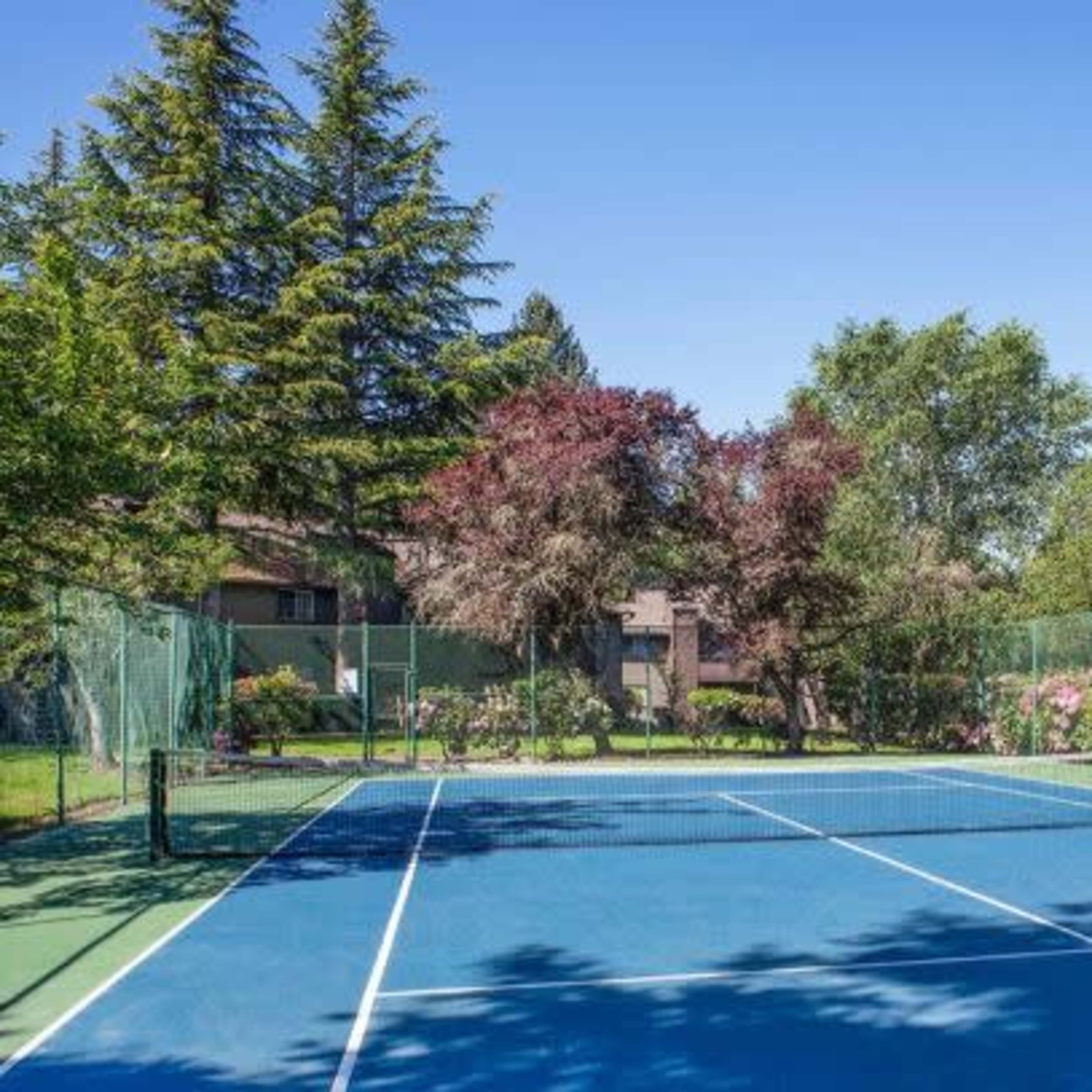 A blue tennis court surrounded by trees and blooming shrubs under a clear sky.