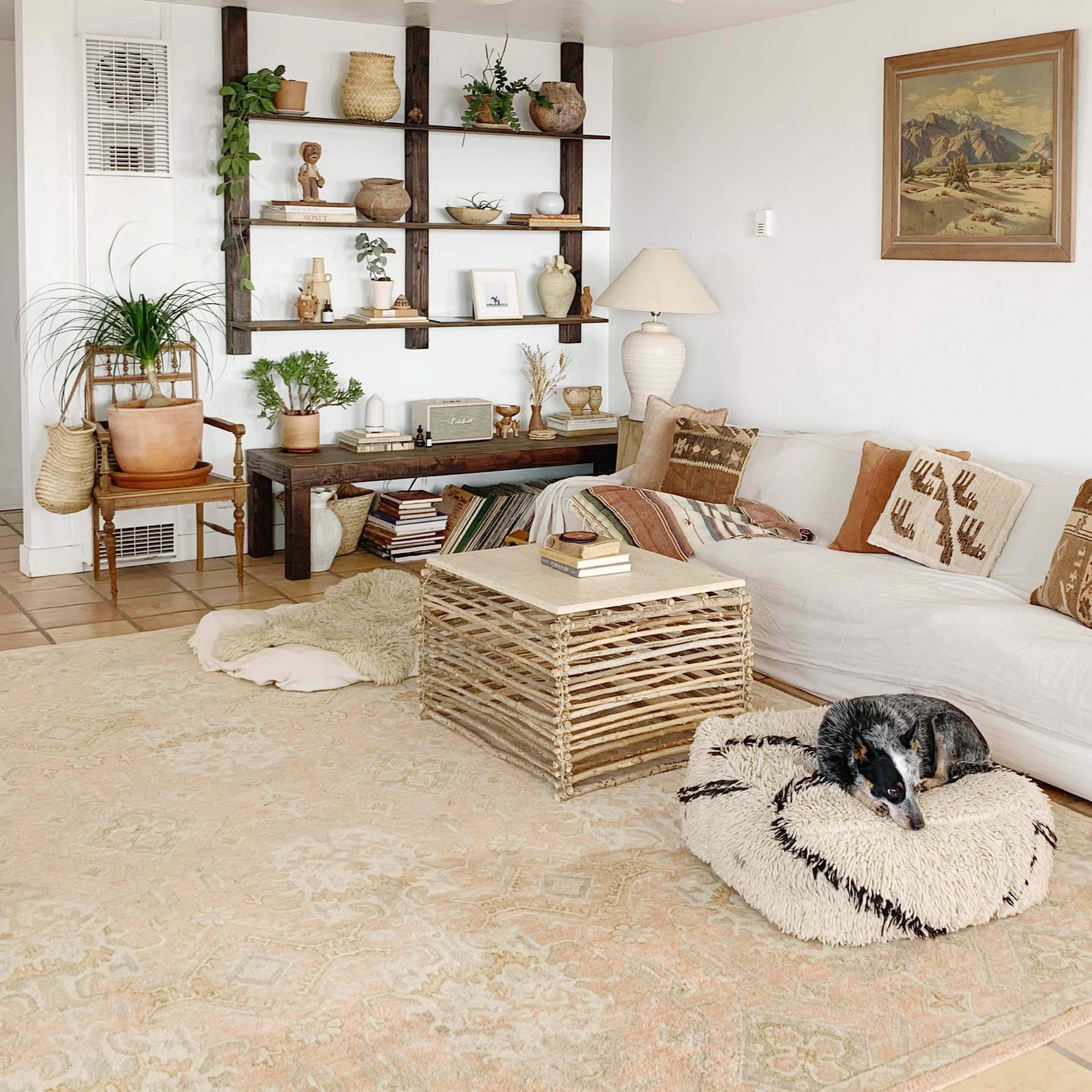The room features a light-colored sofa, a rustic wooden coffee table, and shelves displaying decorative items, with a dog resting on a round, textured bed.