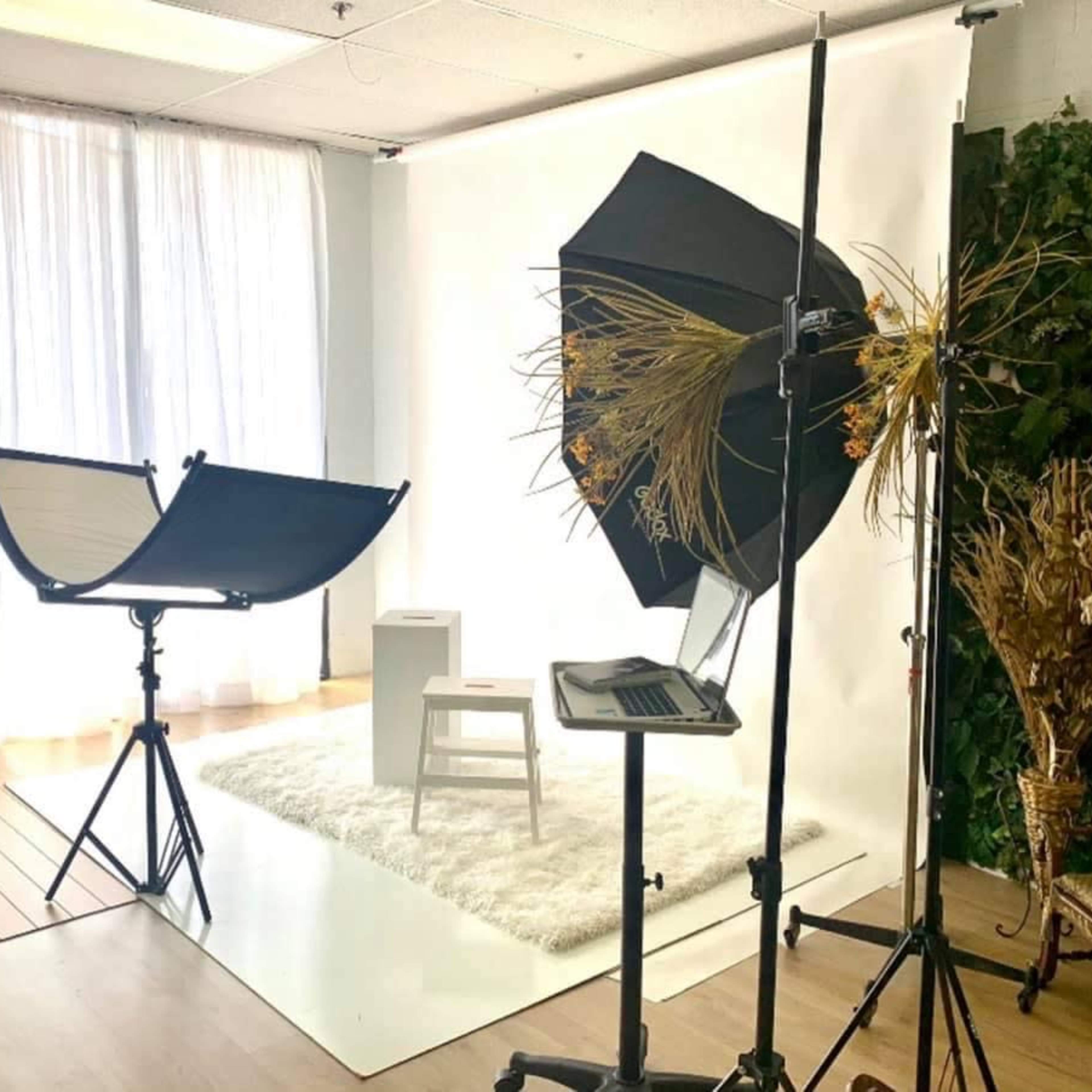 A photography studio setup with a white backdrop, a chair, lighting equipment, and decorative plants.