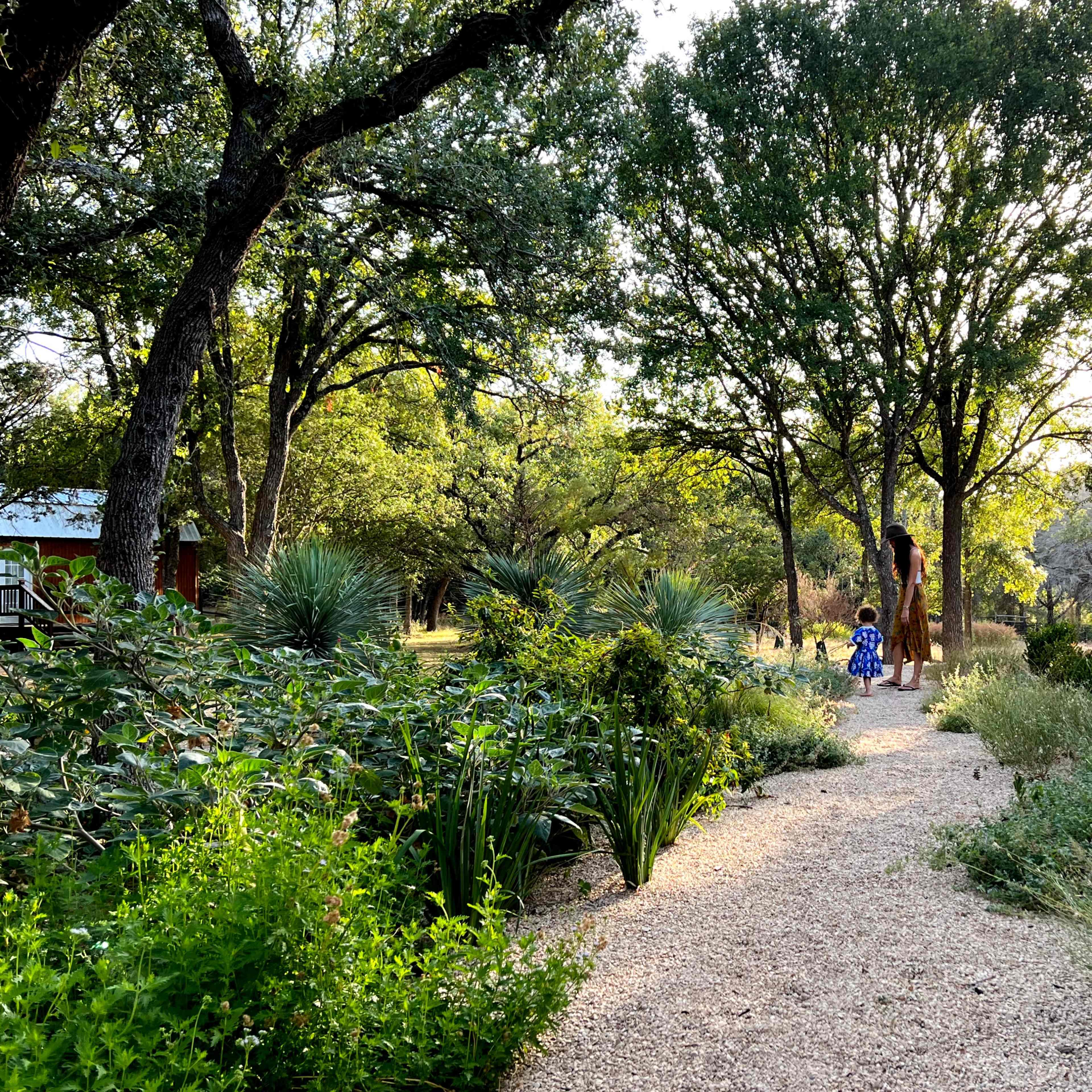 A winding gravel path leads through lush greenery, with a person and a child walking toward a house partially shaded by trees.