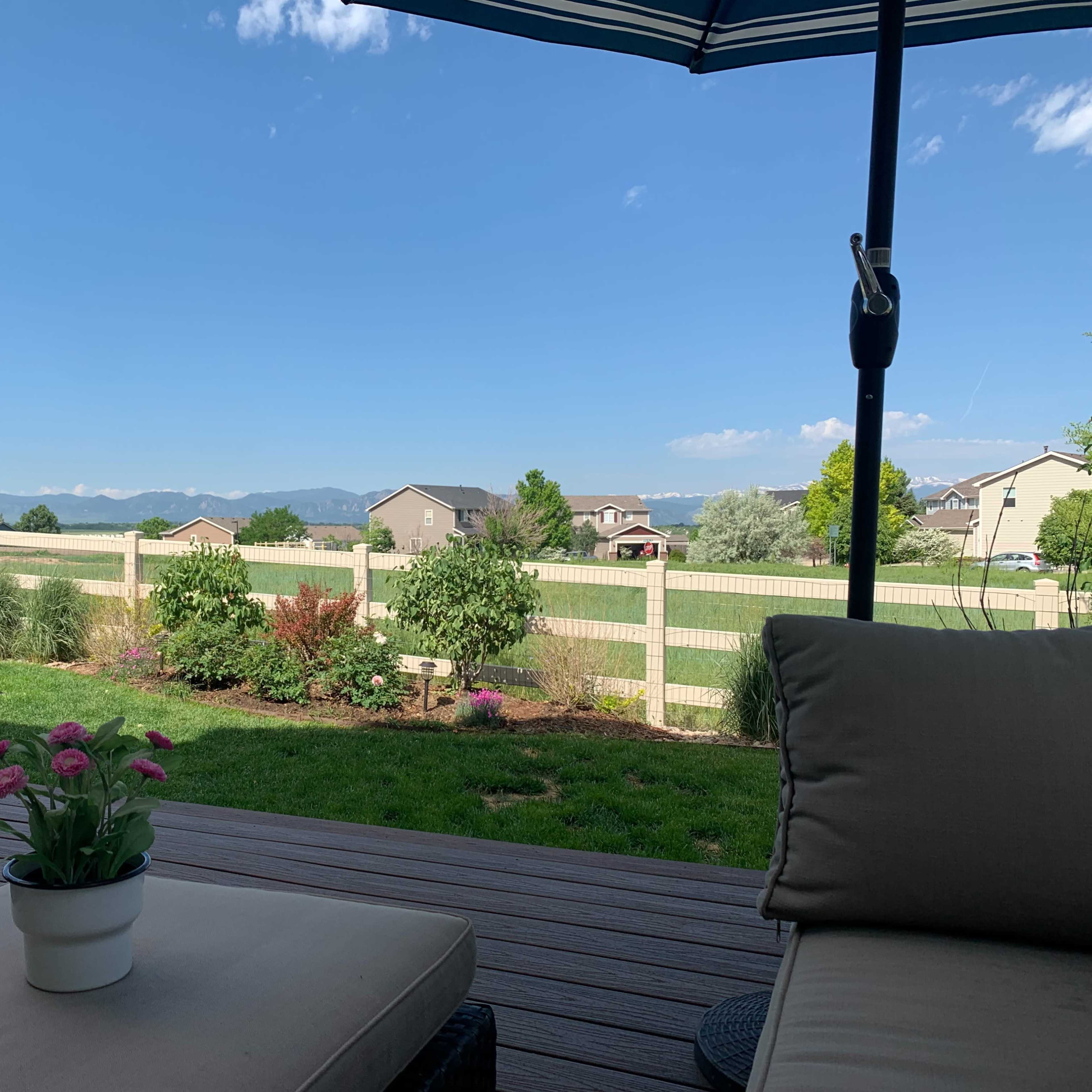 A backyard view with a patio, a potted plant, a black dog lying on the grass, and a wooden fence separating the yard from a landscape featuring distant mountains.