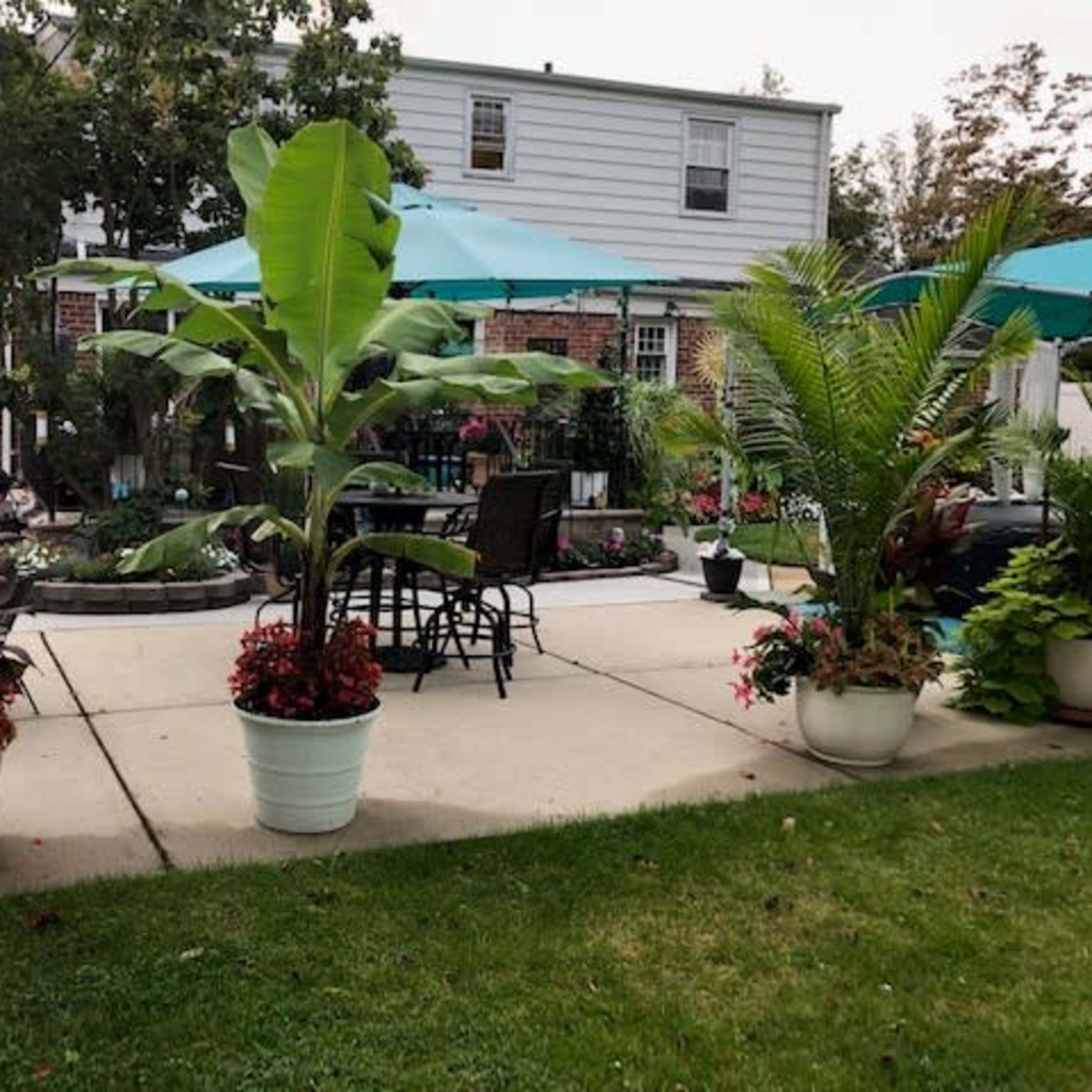 A landscaped backyard with potted plants, seating areas, and umbrellas.