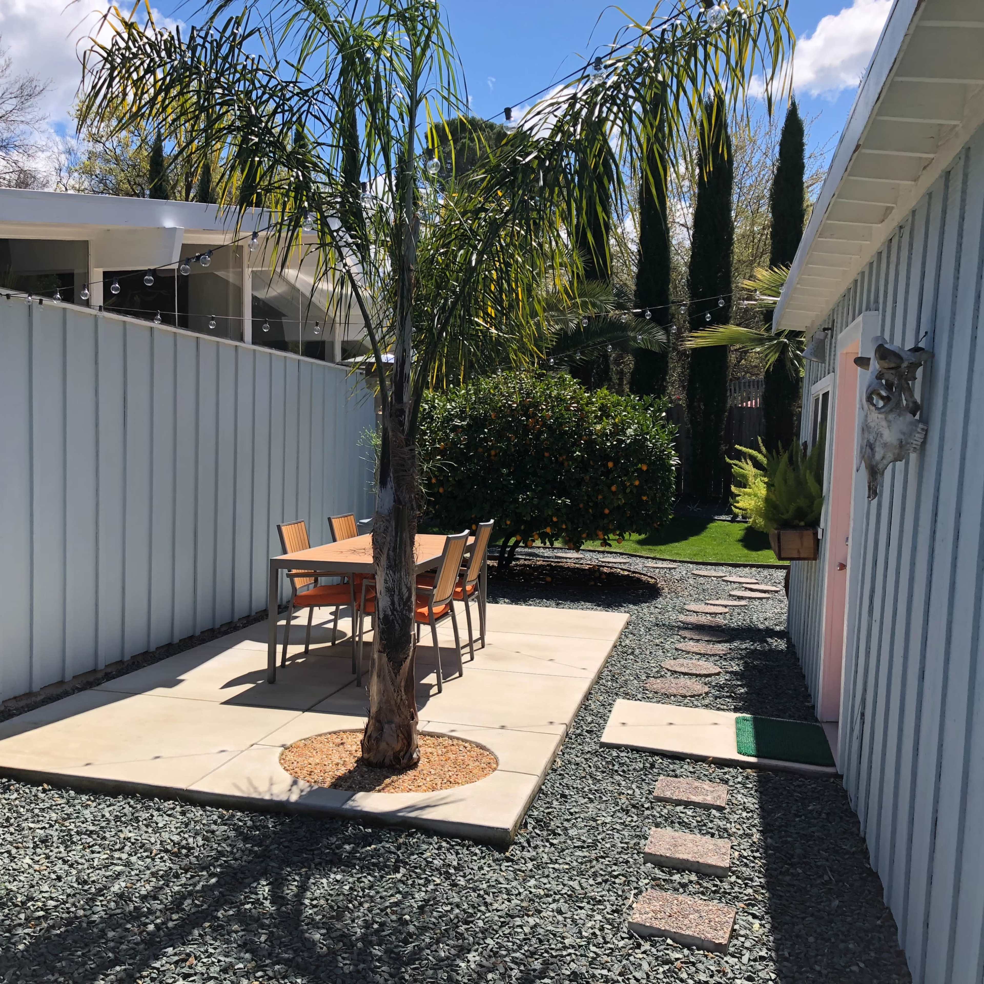 A pathway lined with gravel leads to a dining table surrounded by chairs under a palm tree in a backyard.