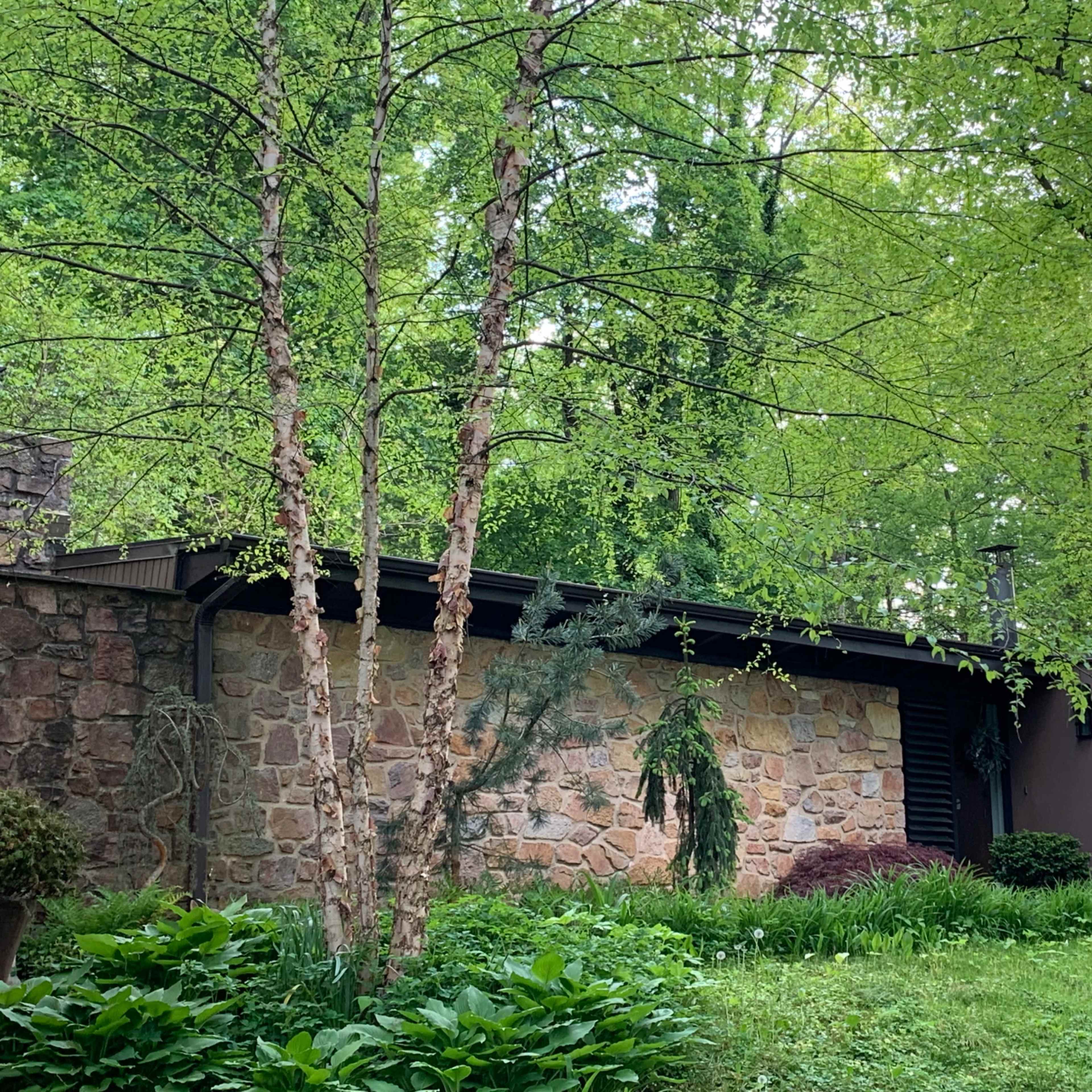 A stone and wood house is situated among lush green trees and landscaping.