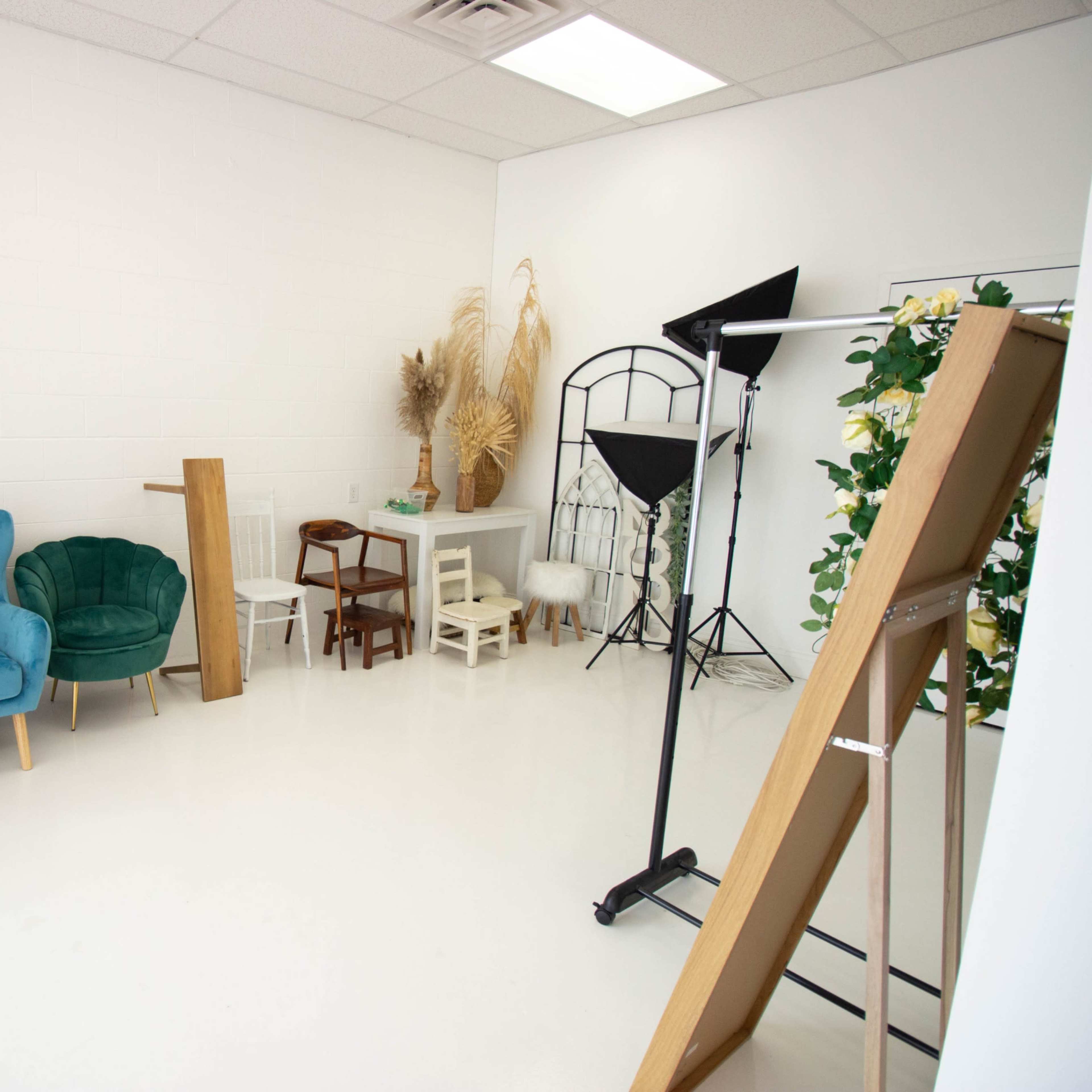 A bright studio space featuring a variety of chairs, decorative plants, and a podium, set against a white backdrop.