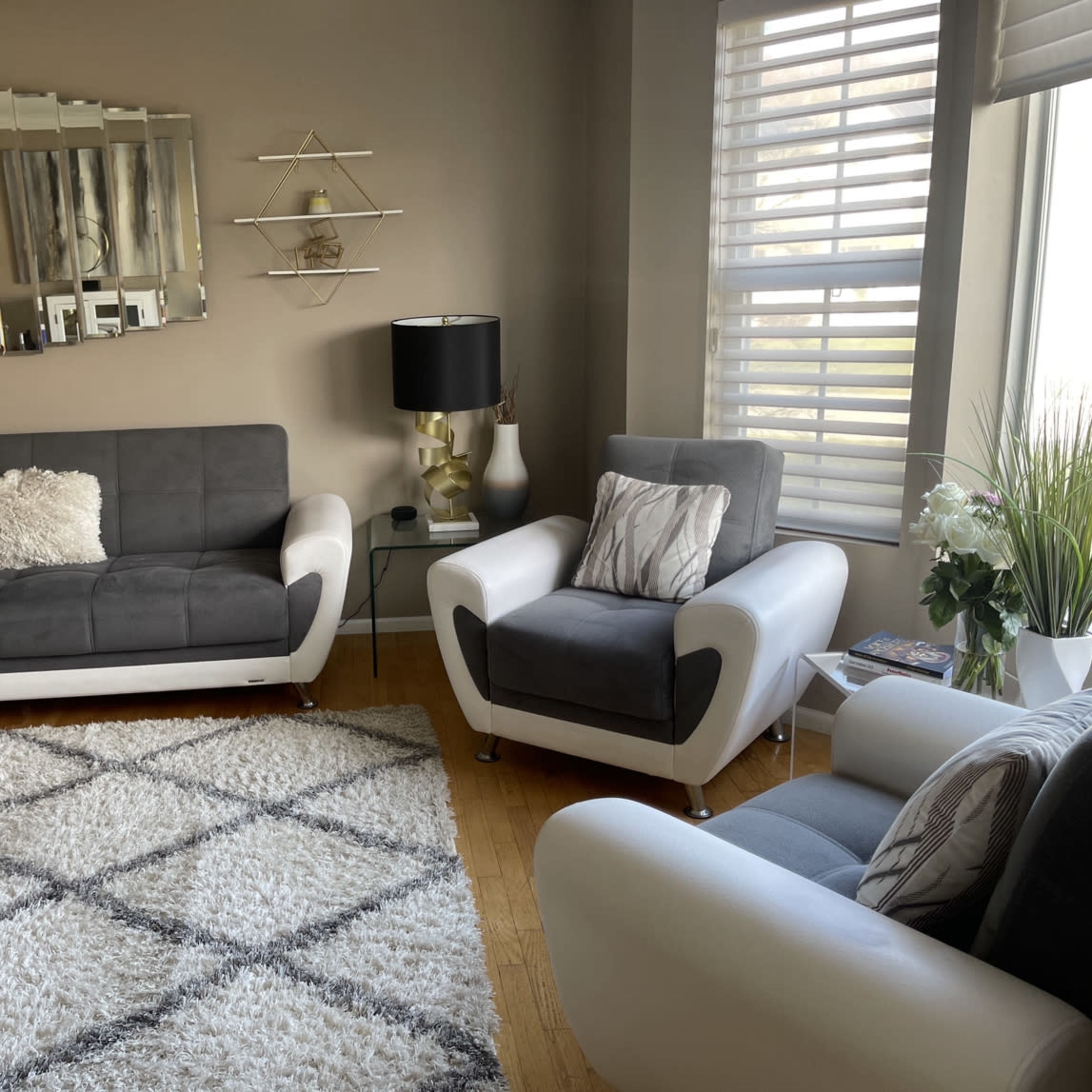 The living room features a gray and white sofa set, a large area rug with a diamond pattern, and a stylish lamp beside a chair, all arranged against a light-colored wall with decorative shelves.