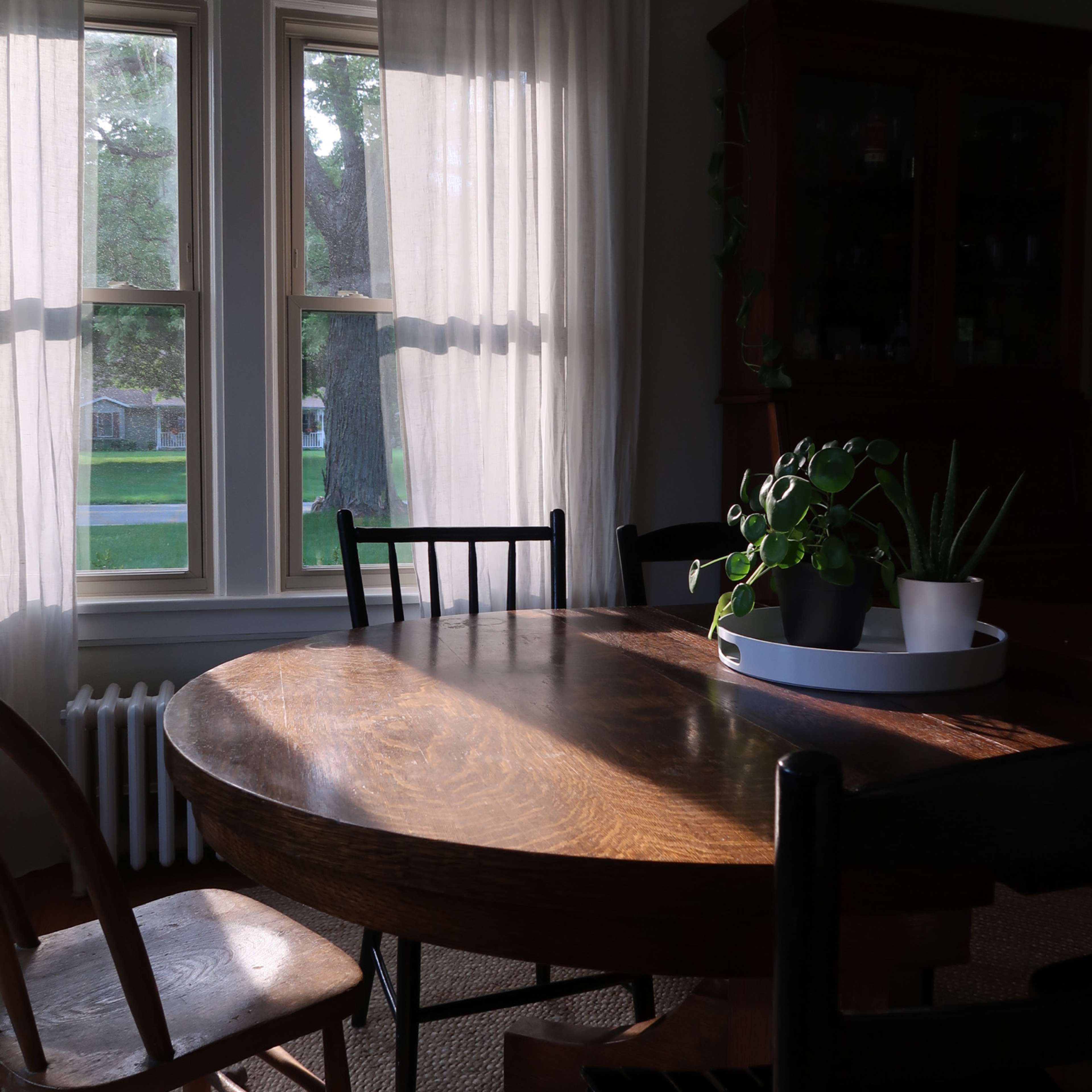 A round wooden dining table is surrounded by chairs in a softly lit room, with sheer curtains partially covering two windows and a potted plant on the table.