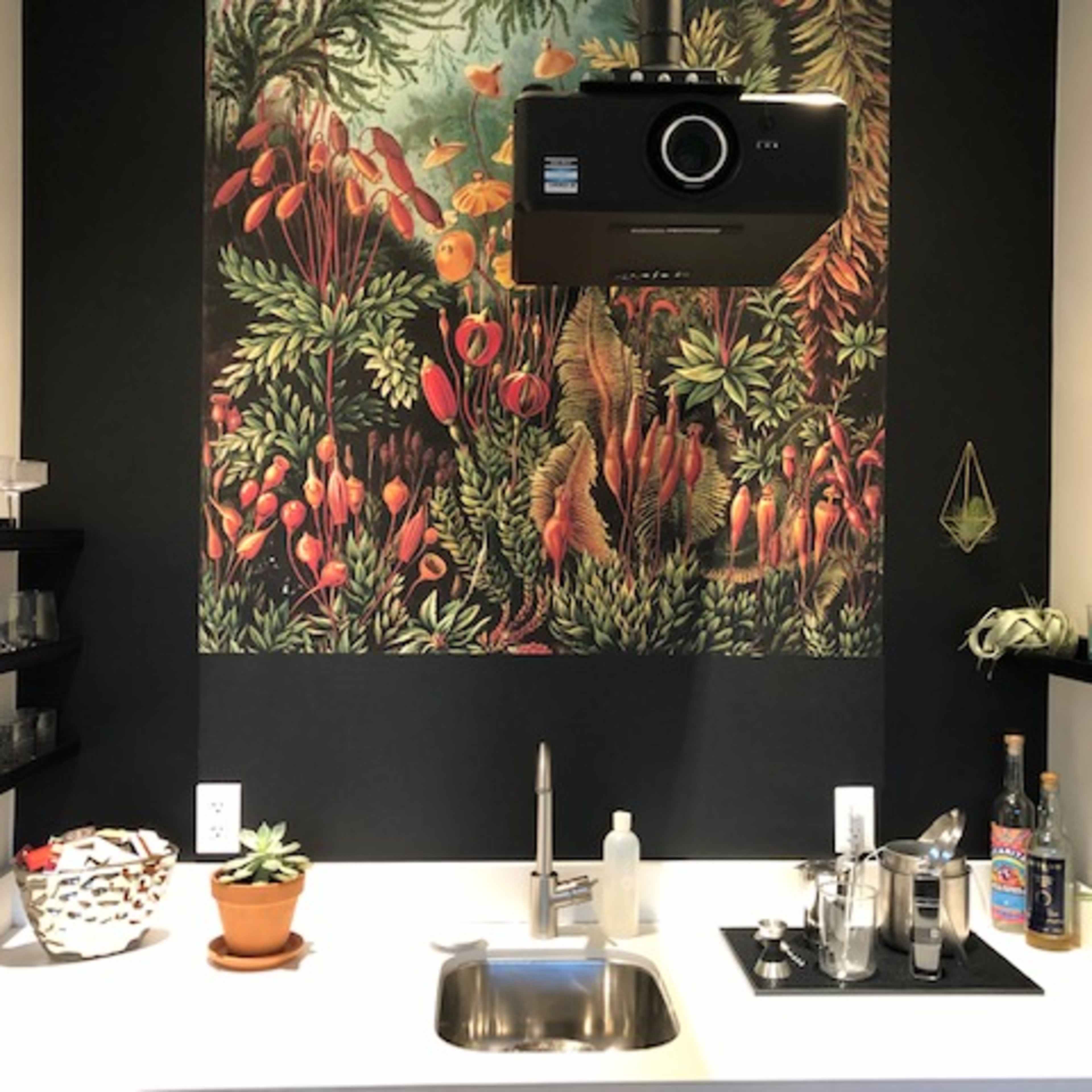 A kitchen area with a white countertop, a wall covered in a colorful botanical mural, and a ceiling projector mounted above.