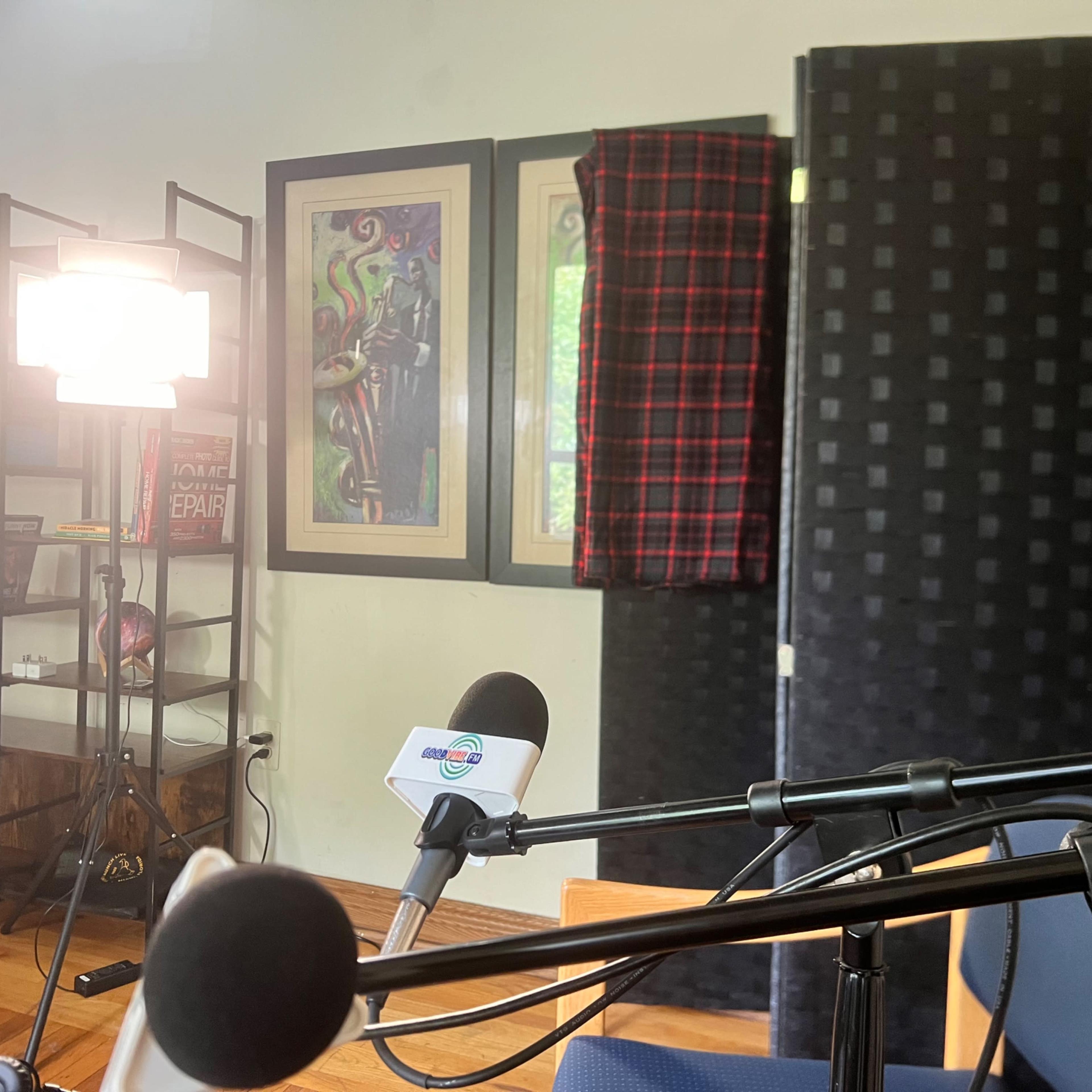 A microphone and a blue chair are positioned in front of a bookshelf and decorative panels in a well-lit room.