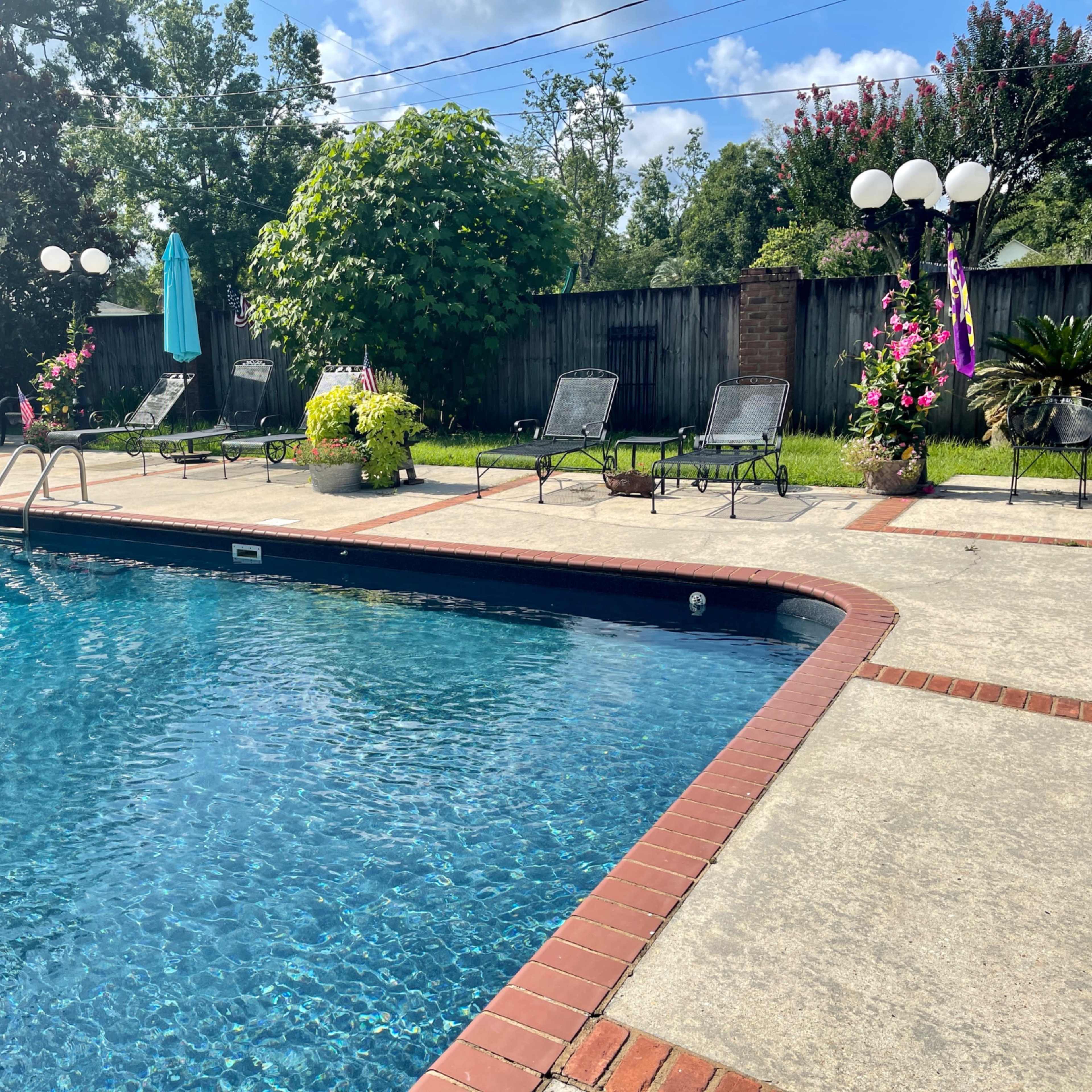 A swimming pool is surrounded by lounge chairs and decorative plants under a clear sky.