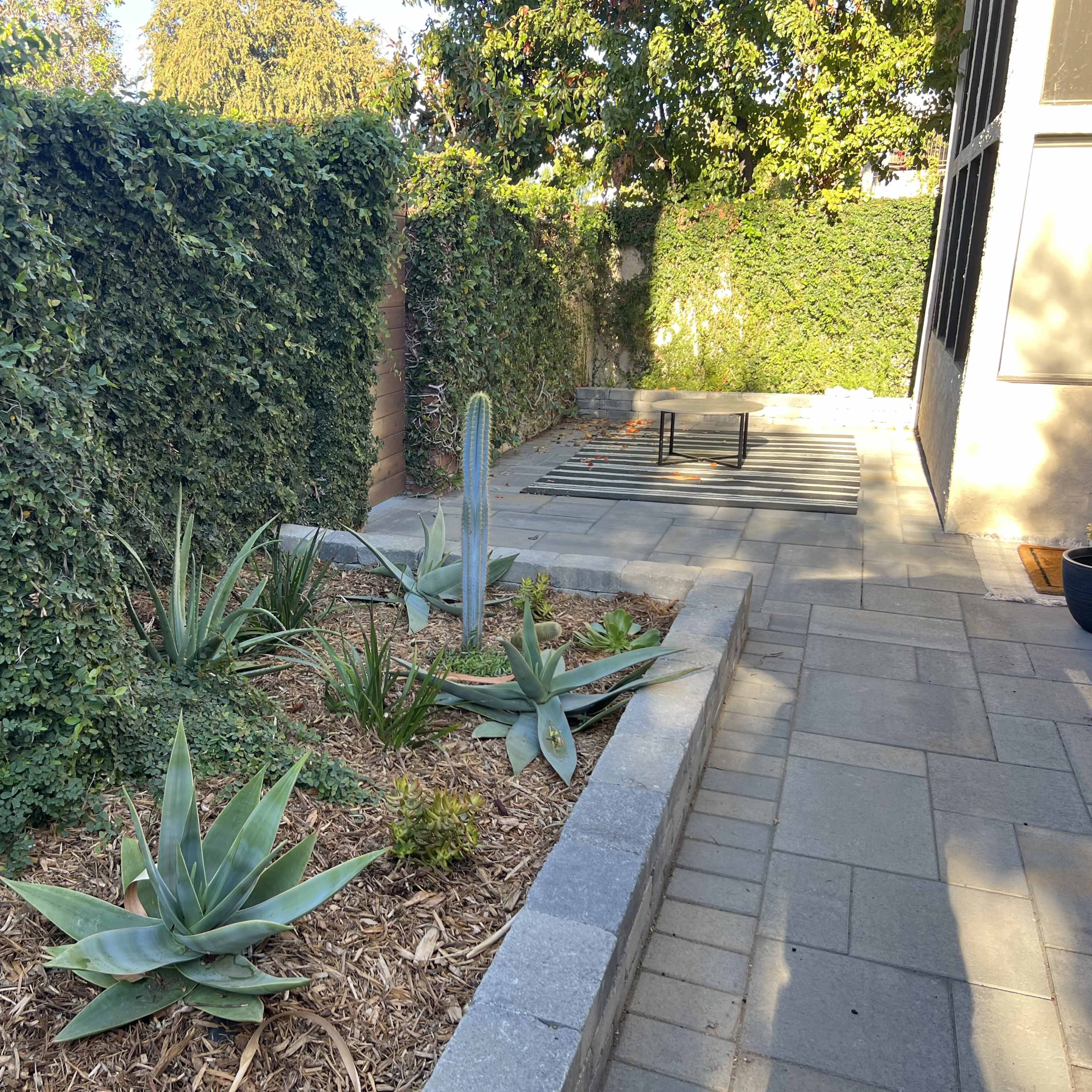 A landscaped area featuring various succulents and a stone pathway bordered by greenery.