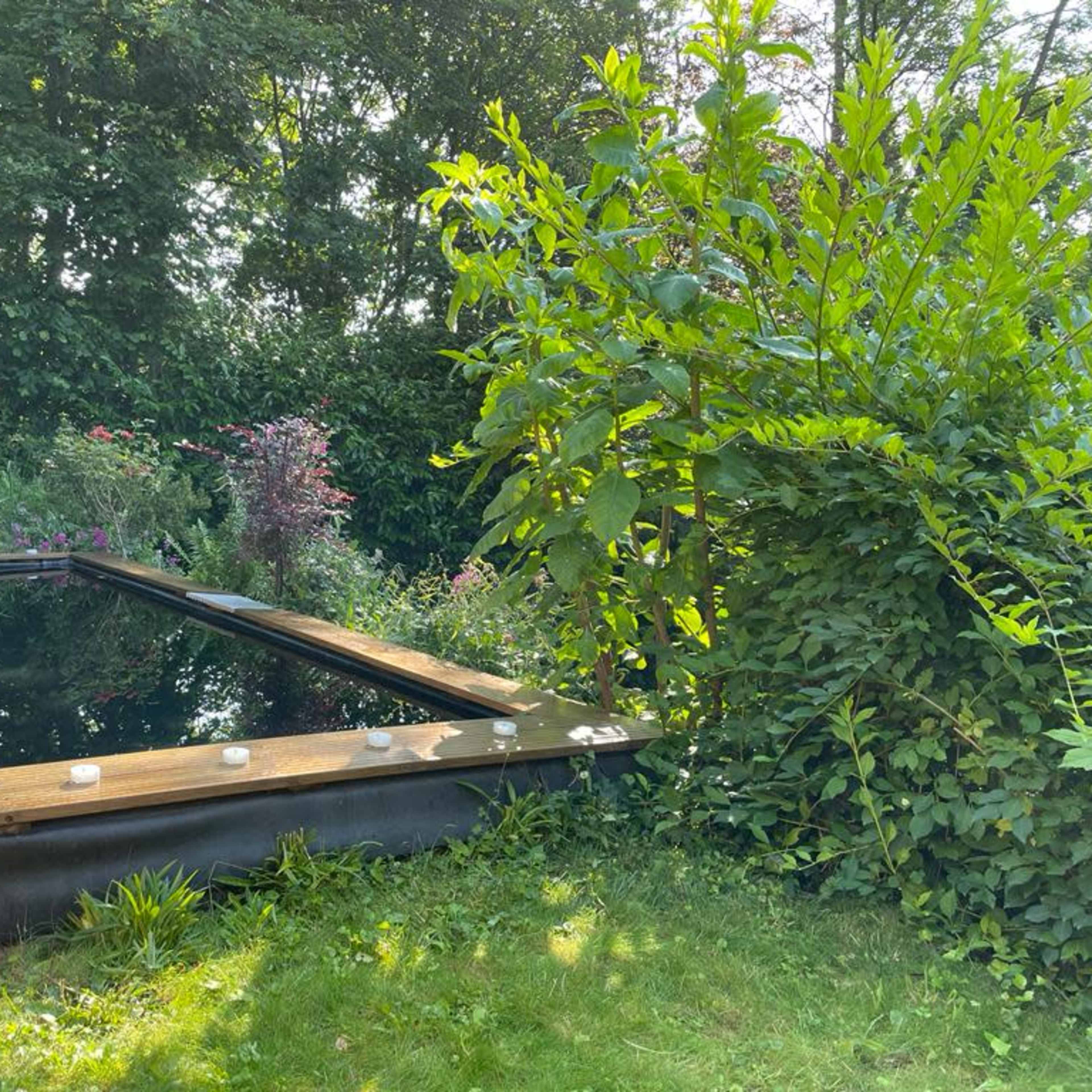 A rectangular pond with a wooden deck is surrounded by lush greenery and flowers.