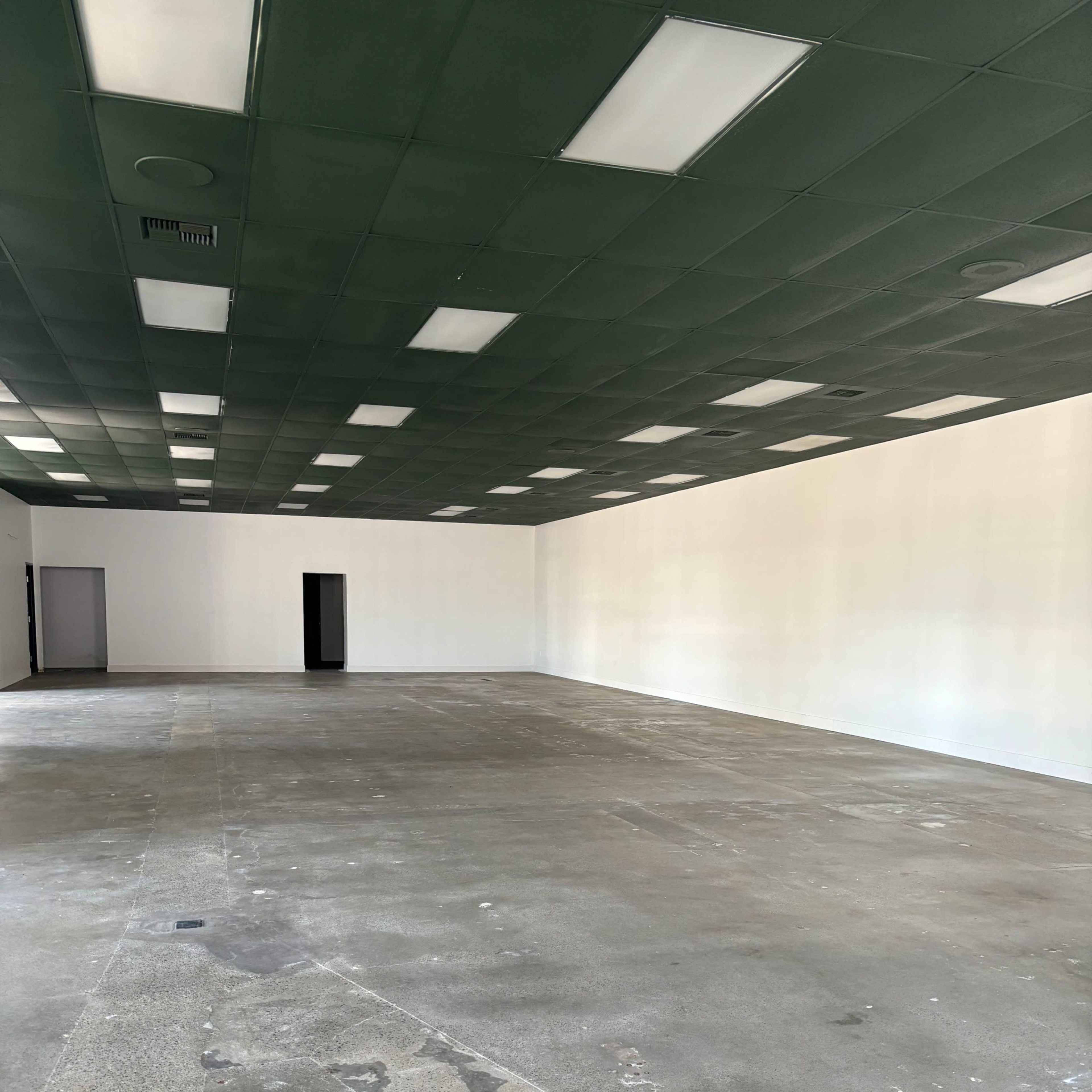 An empty room with a green ceiling and bare concrete floor, featuring white walls and overhead lights.