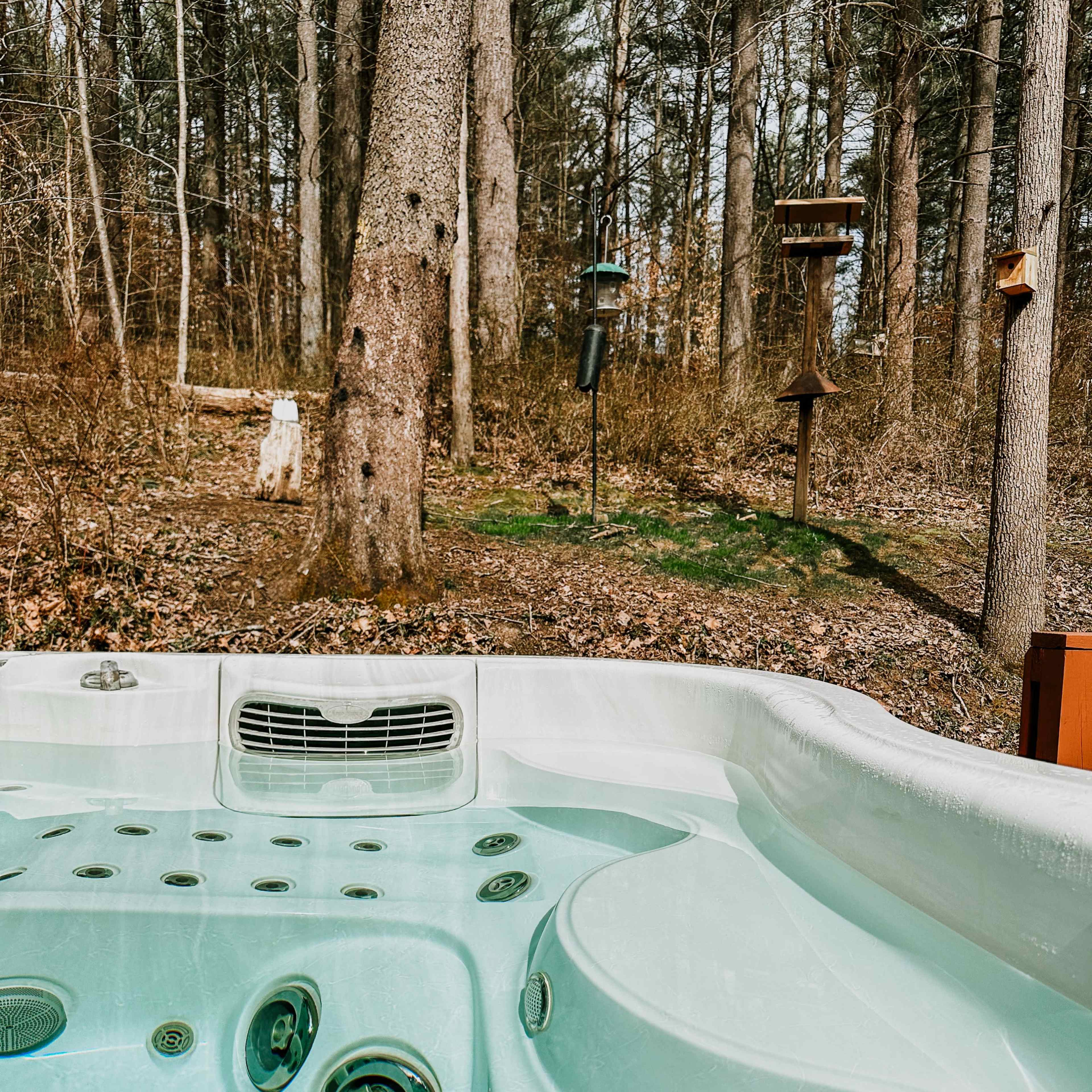 A hot tub sits in the foreground, surrounded by a wooded area with bird feeders in the background.