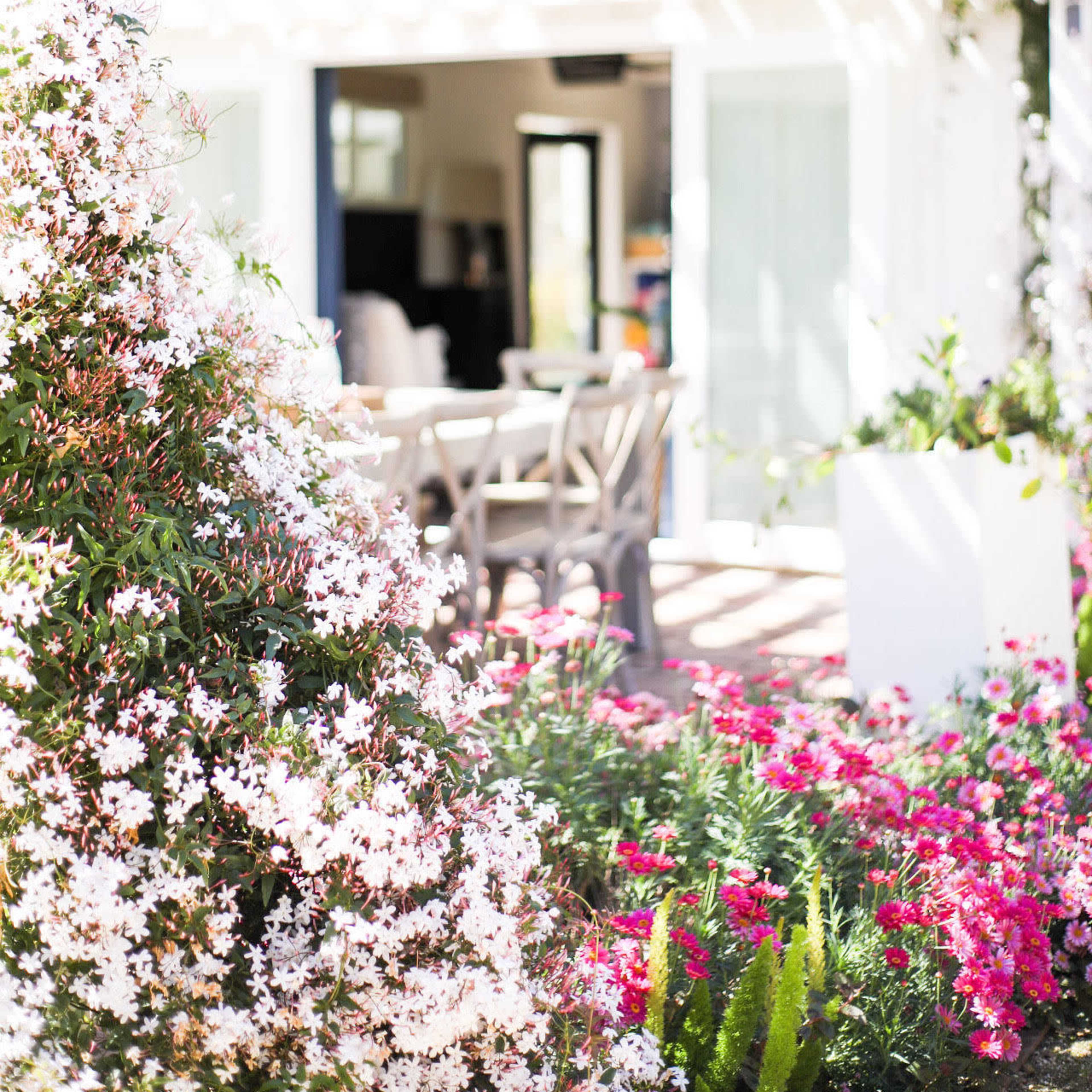 A patio with a dining area is framed by flowering plants in the foreground and a white structure in the background.