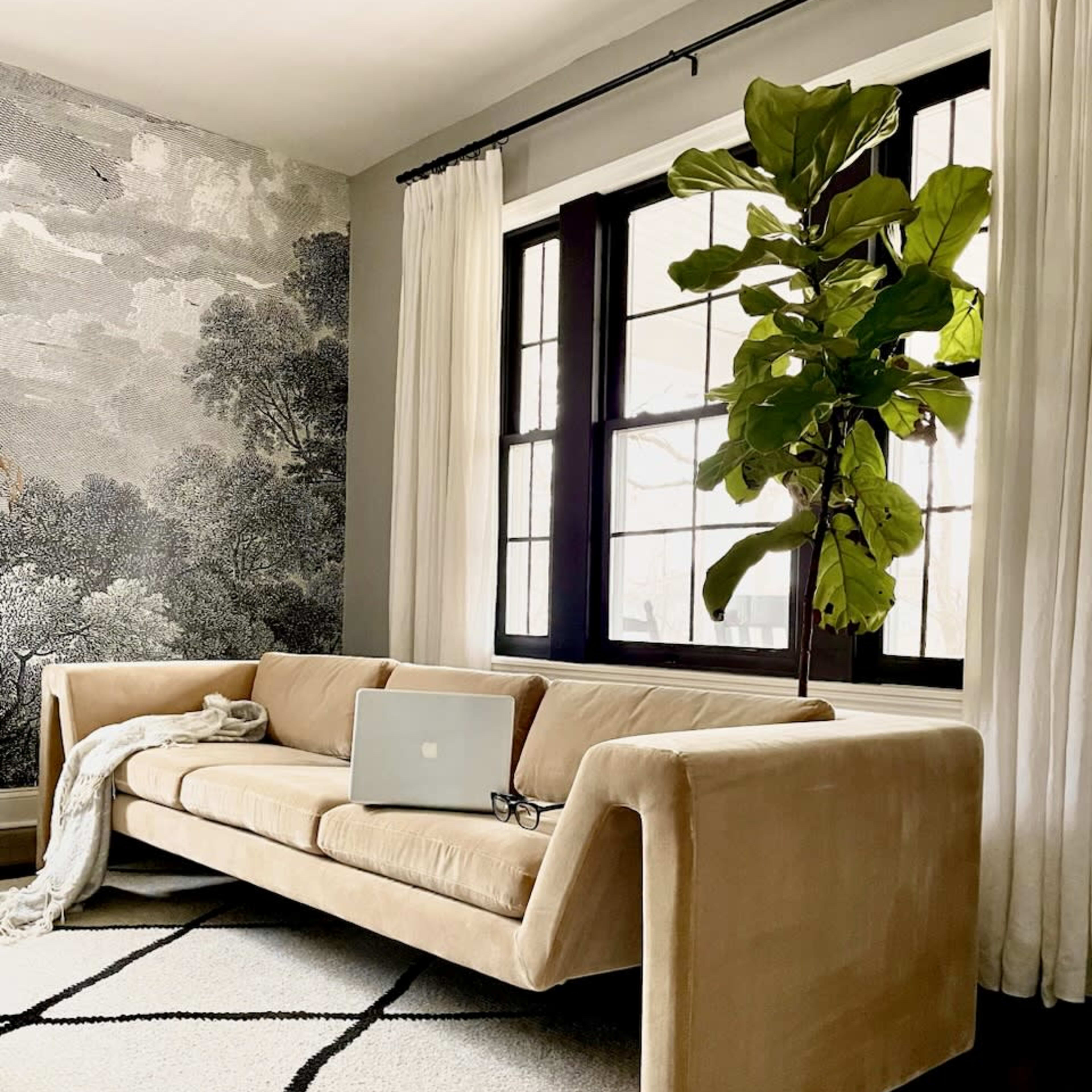 A modern velvet sofa is positioned near large windows, accompanied by a laptop and a potted plant, on a patterned area rug.