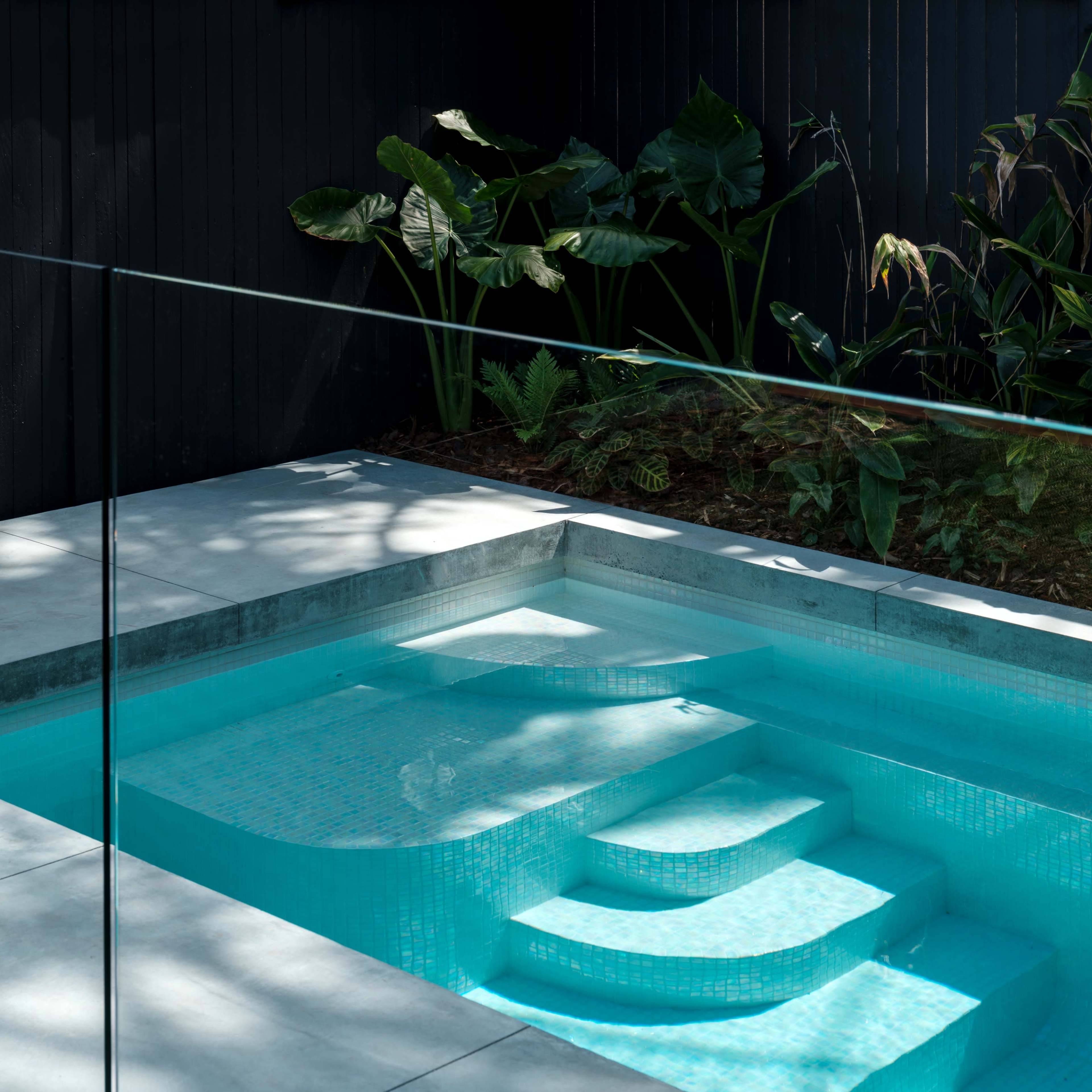 A modern, rectangular swimming pool with steps, surrounded by low foliage and a dark wall.