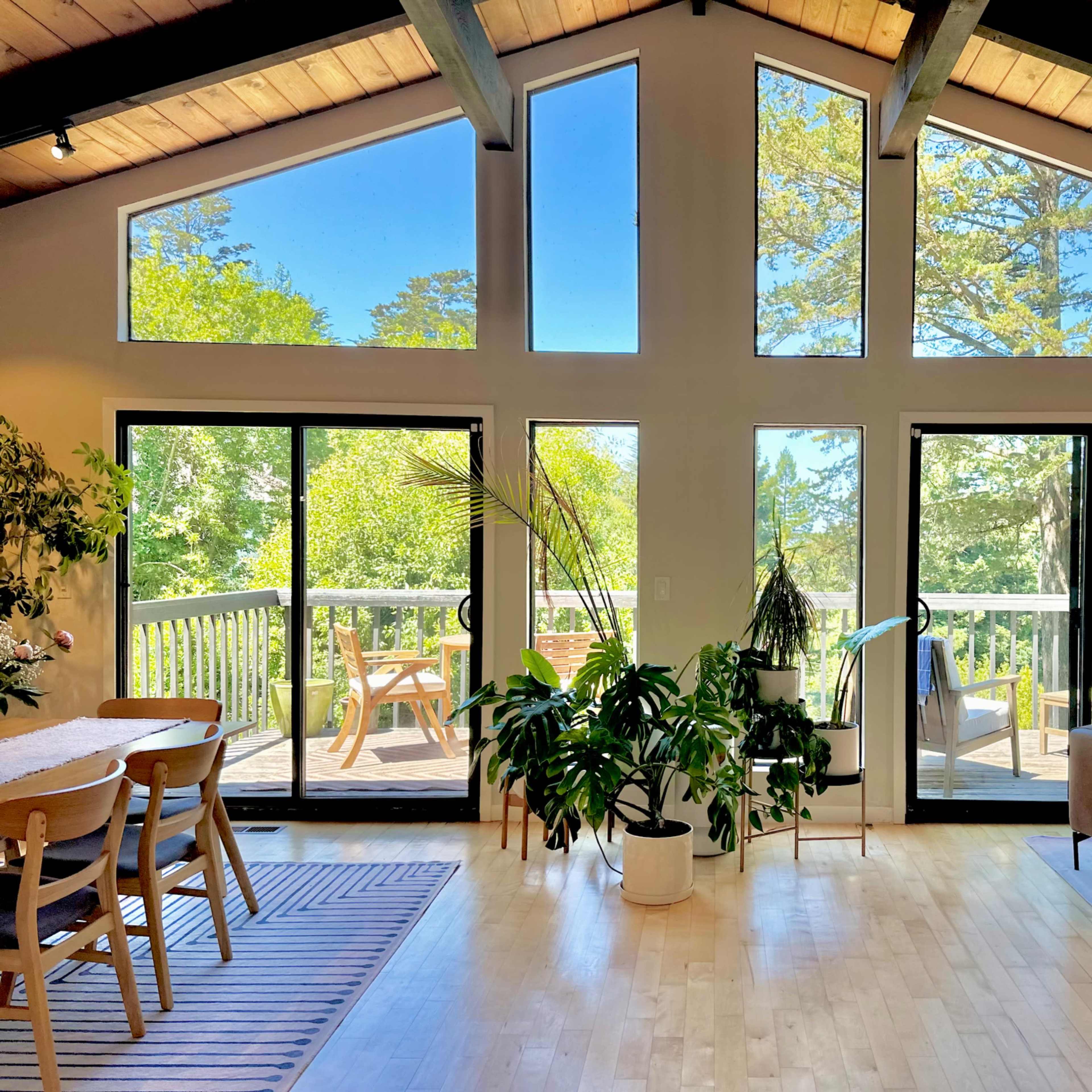 A bright living space features large windows with forest views, a wooden dining table, and potted plants, complemented by a seating area with a brown sofa.