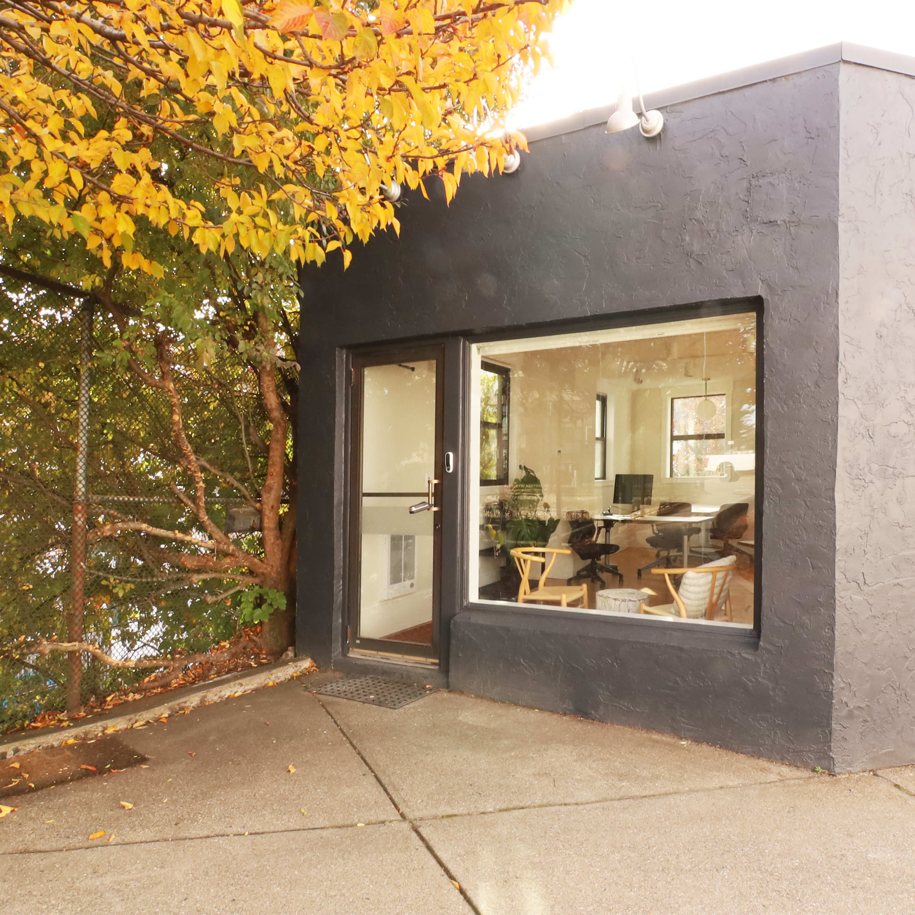 A small, modern building features large windows and a textured black exterior, surrounded by trees with autumn foliage.