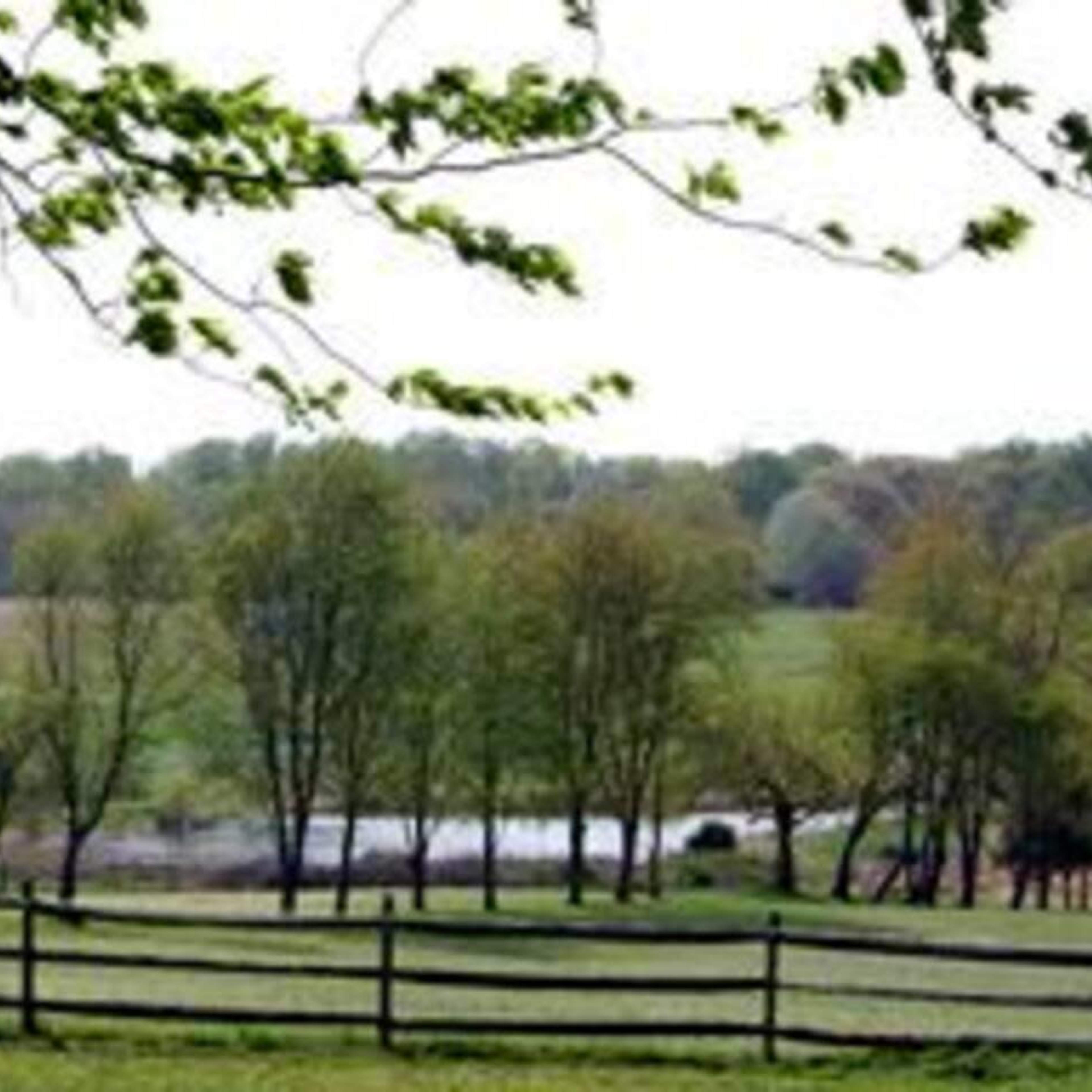 A green field with a wooden fence, bordered by trees, overlooks a small body of water in the distance.