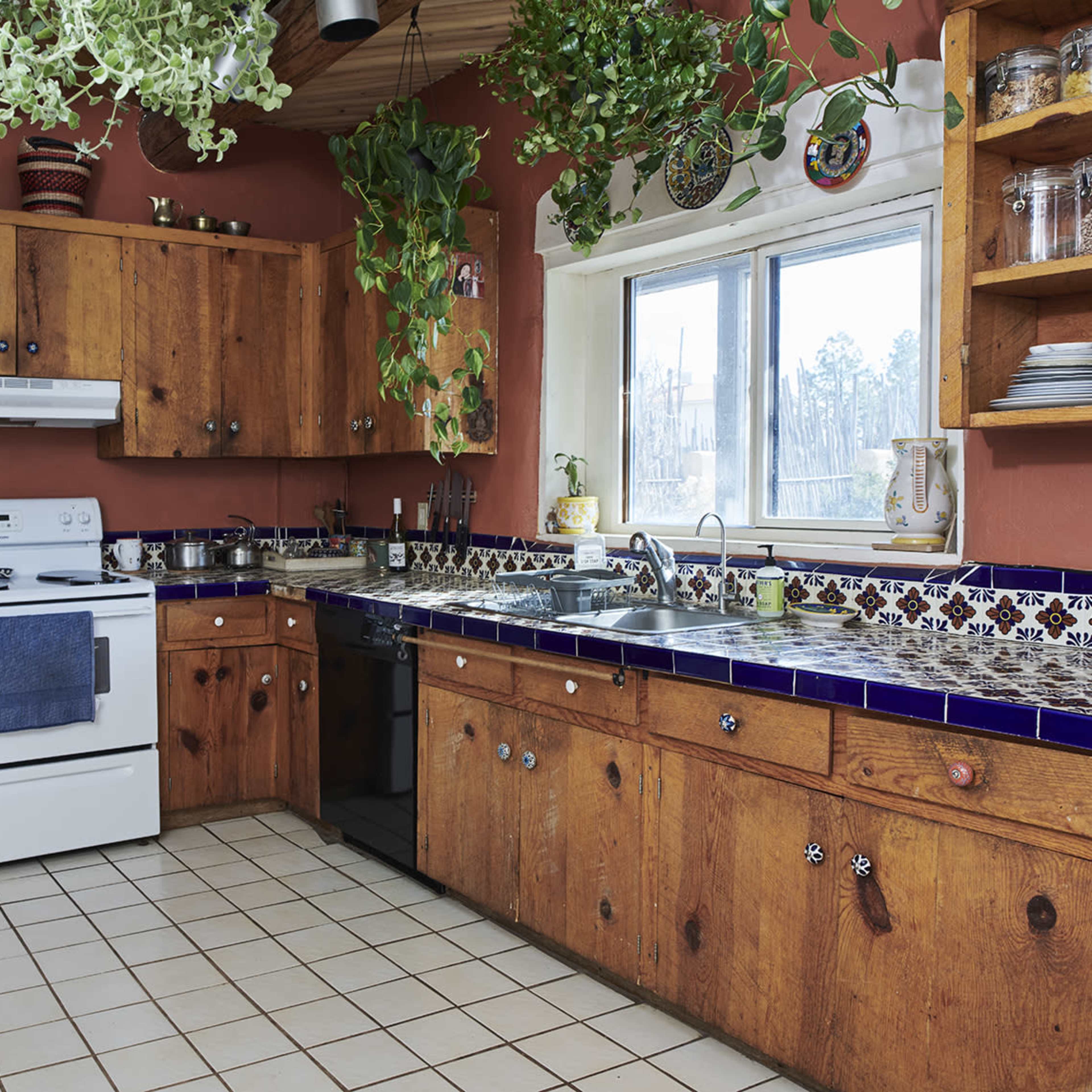 The kitchen features wooden cabinets, a white stove, a black dishwasher, and plants hanging from the ceiling.