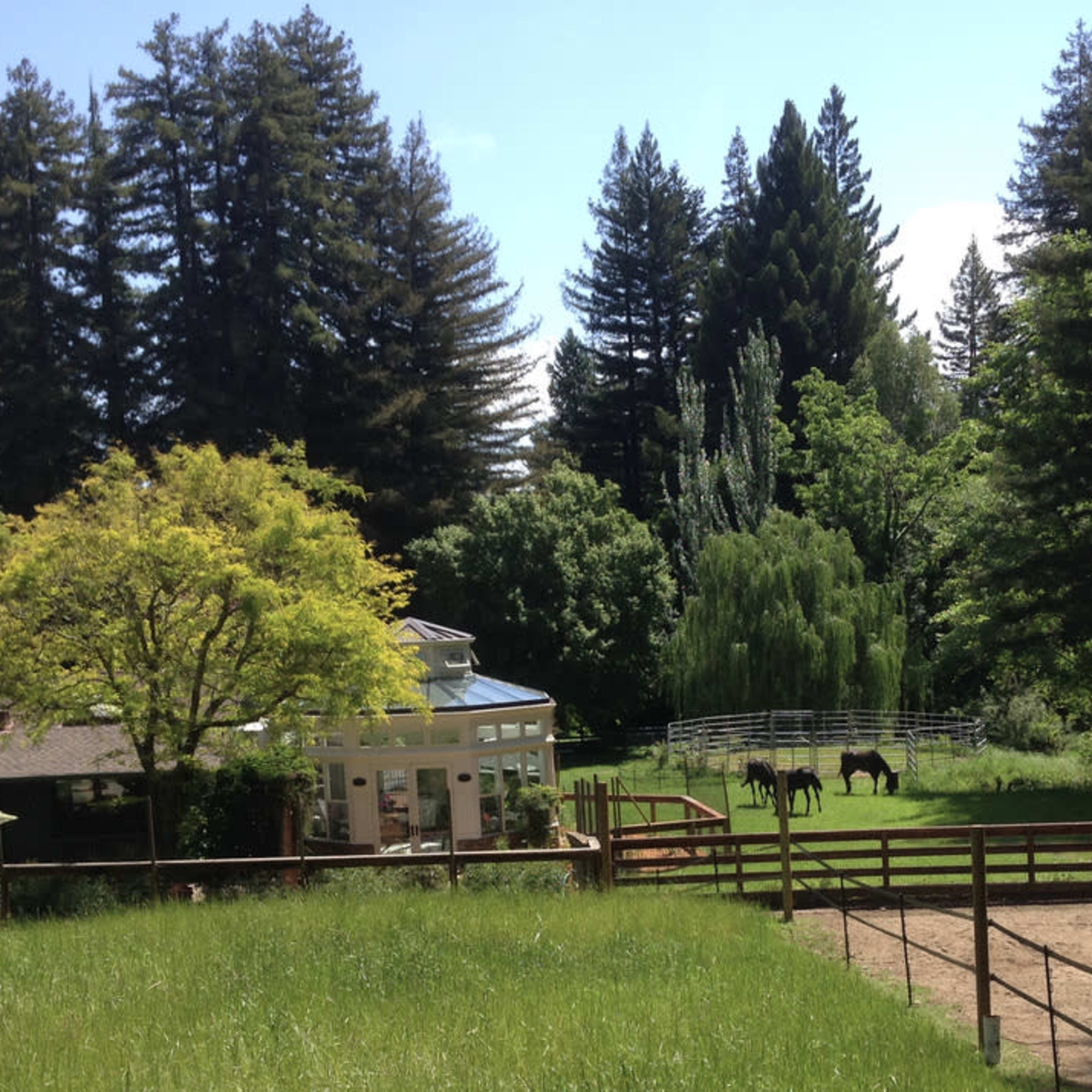 A serene landscape with a house surrounded by trees, green grass, and two horses in a fenced area.