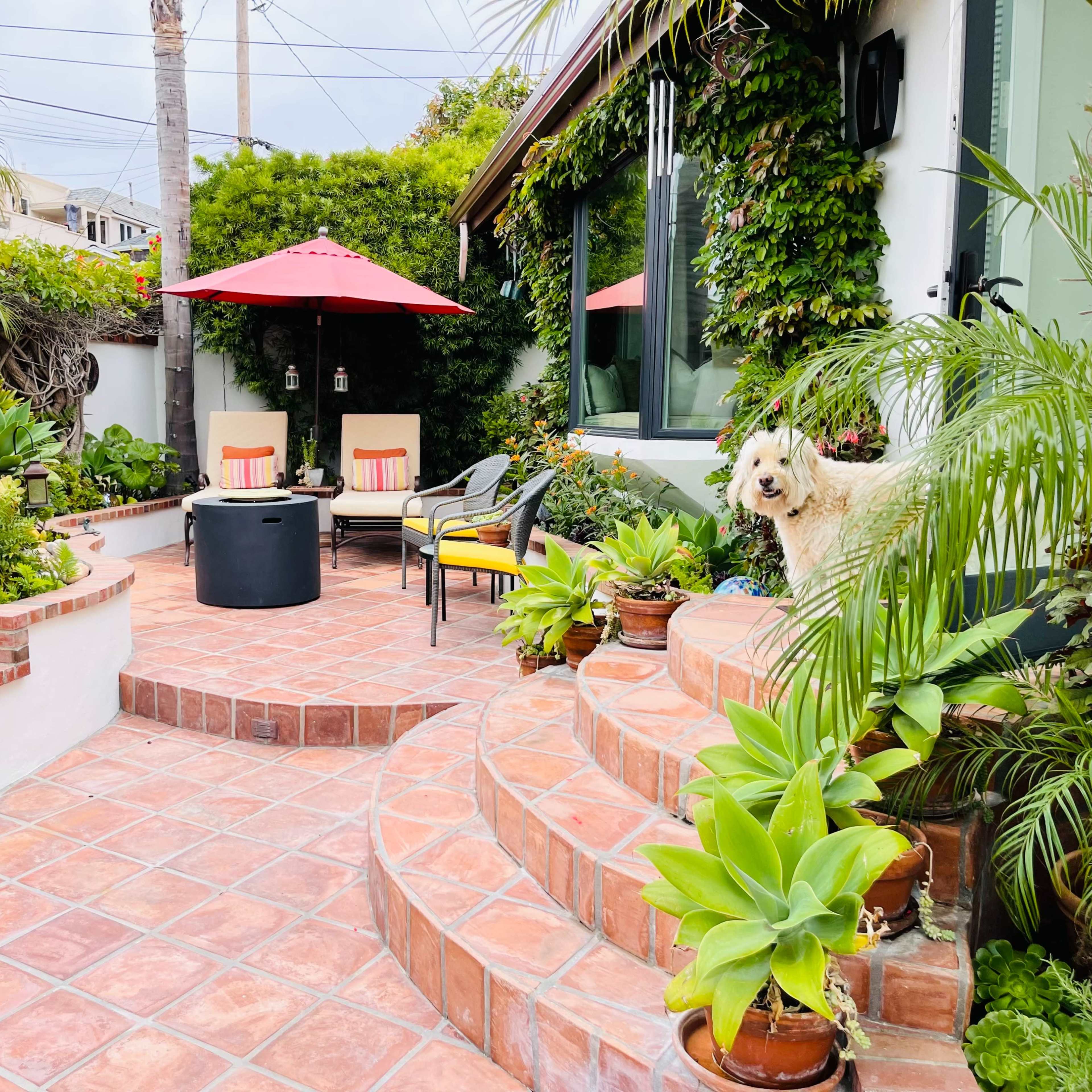 A patio area features a seating arrangement with a round table and umbrella, surrounded by various potted plants and a dog on the steps.