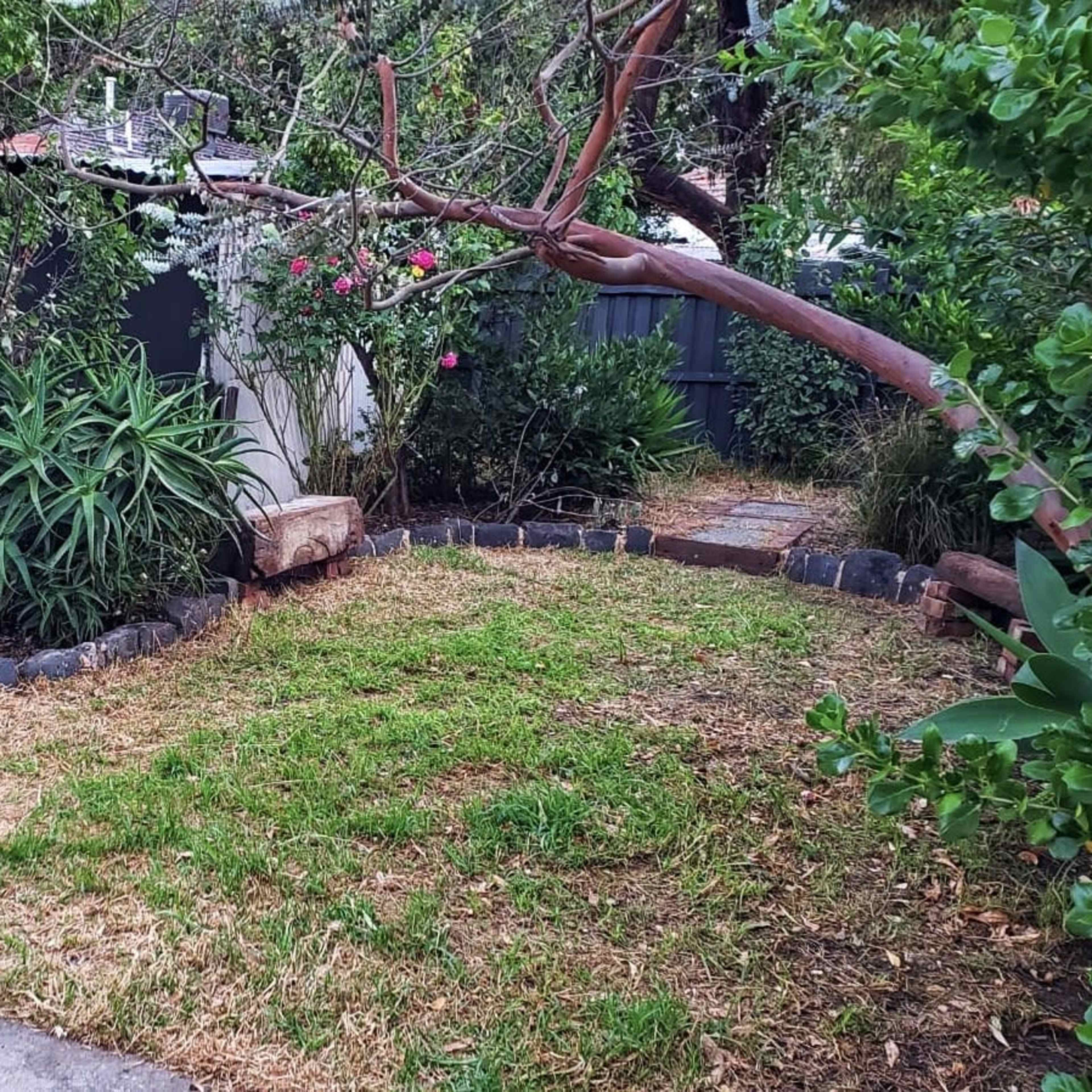 A small, landscaped garden area bordered by stone, featuring a grassy patch, shrubs, and a leaning tree branch.