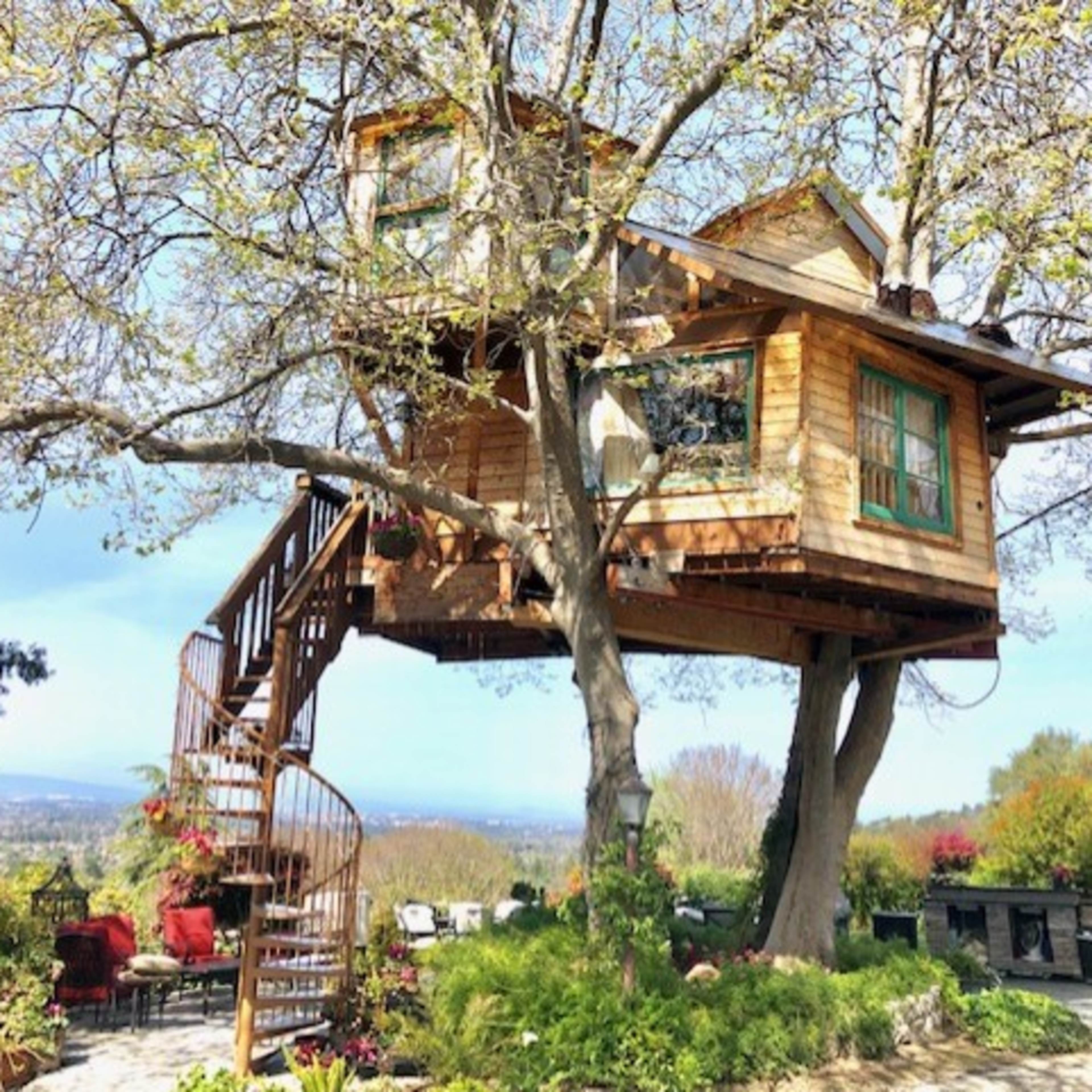 A wooden treehouse with green windows is built in a large tree, featuring a spiral staircase leading to its entrance.