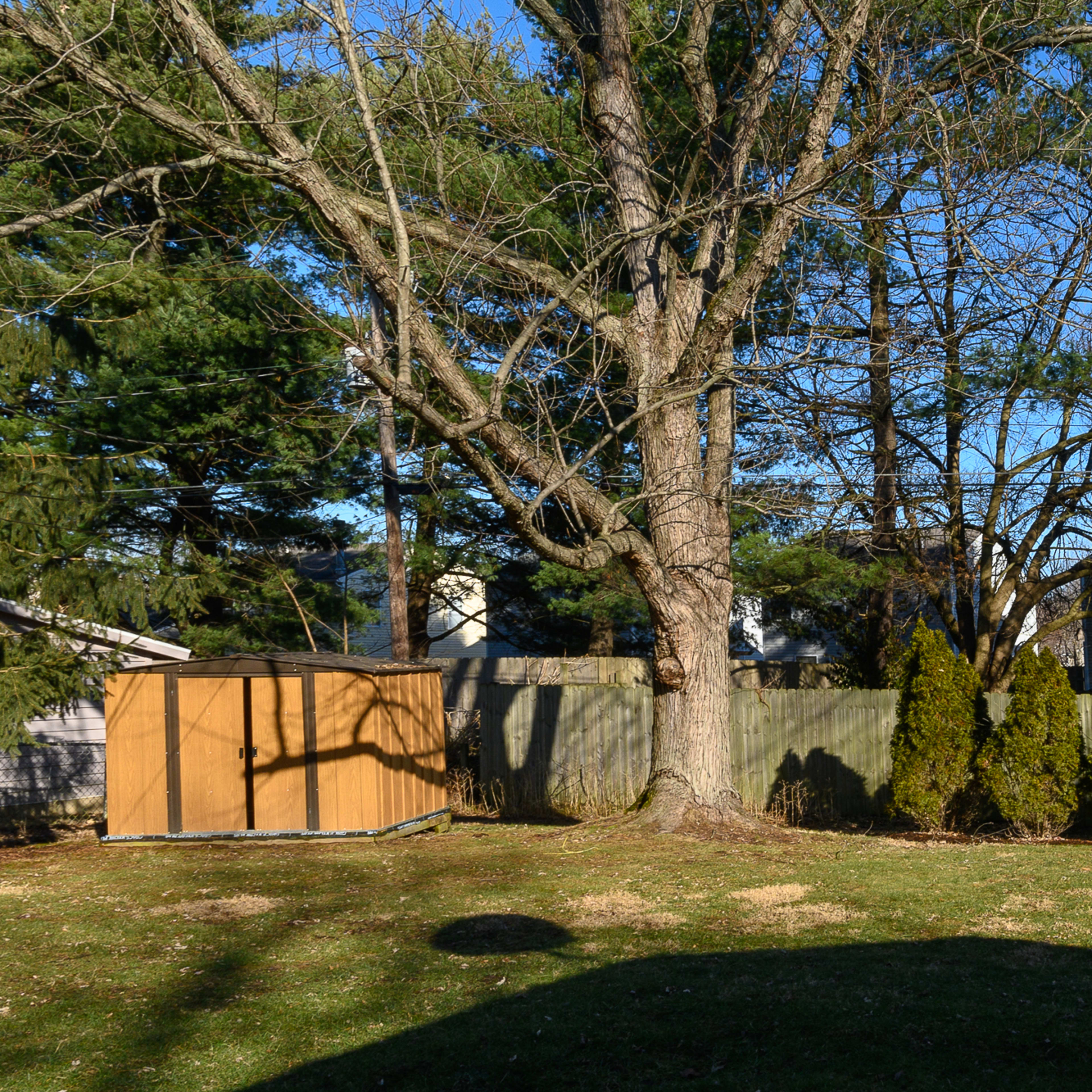 A wooden shed is situated under a large tree in a yard surrounded by tall shrubs and a wooden fence.