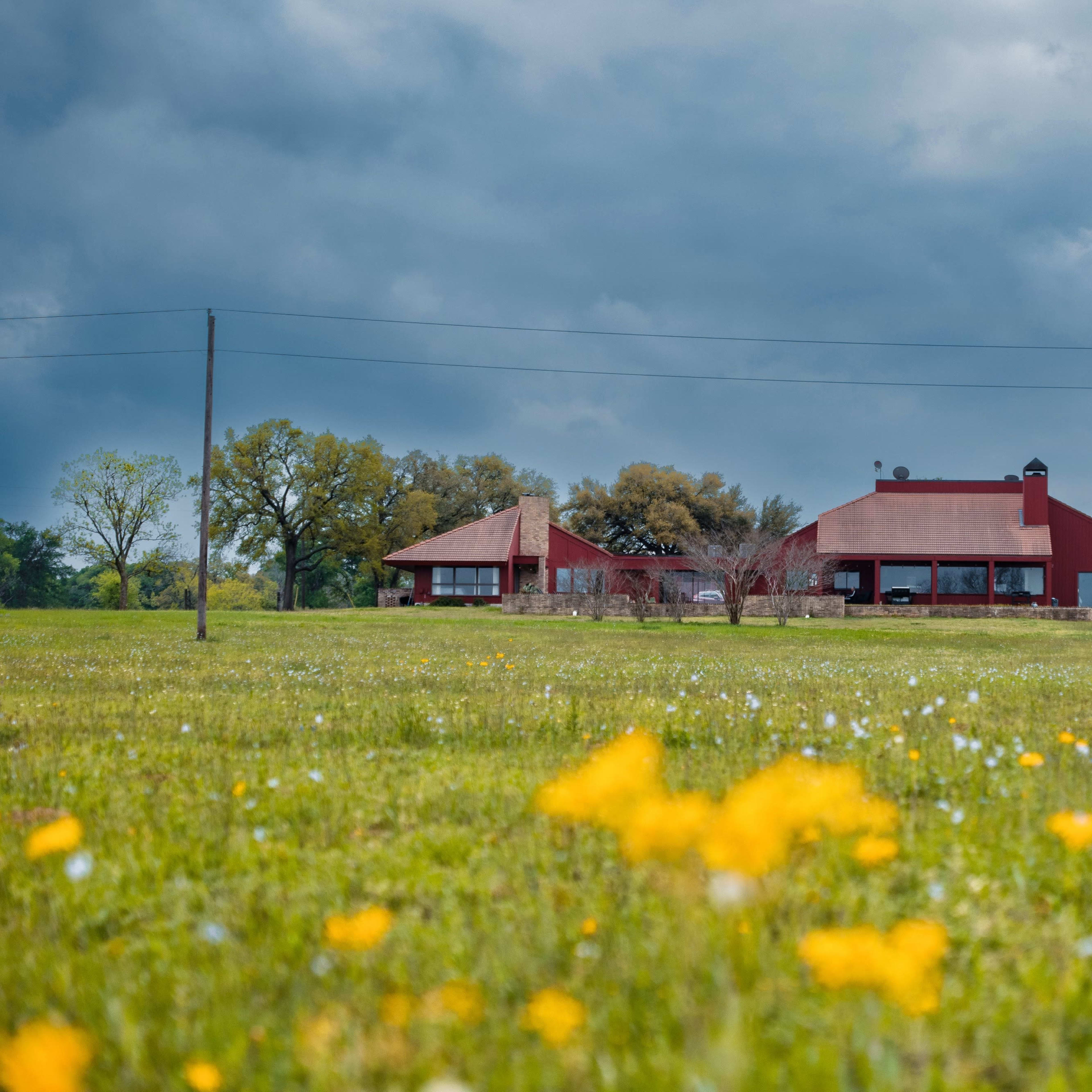 A red house with a flat roof is situated in a grassy field dotted with yellow wildflowers under a cloudy sky.