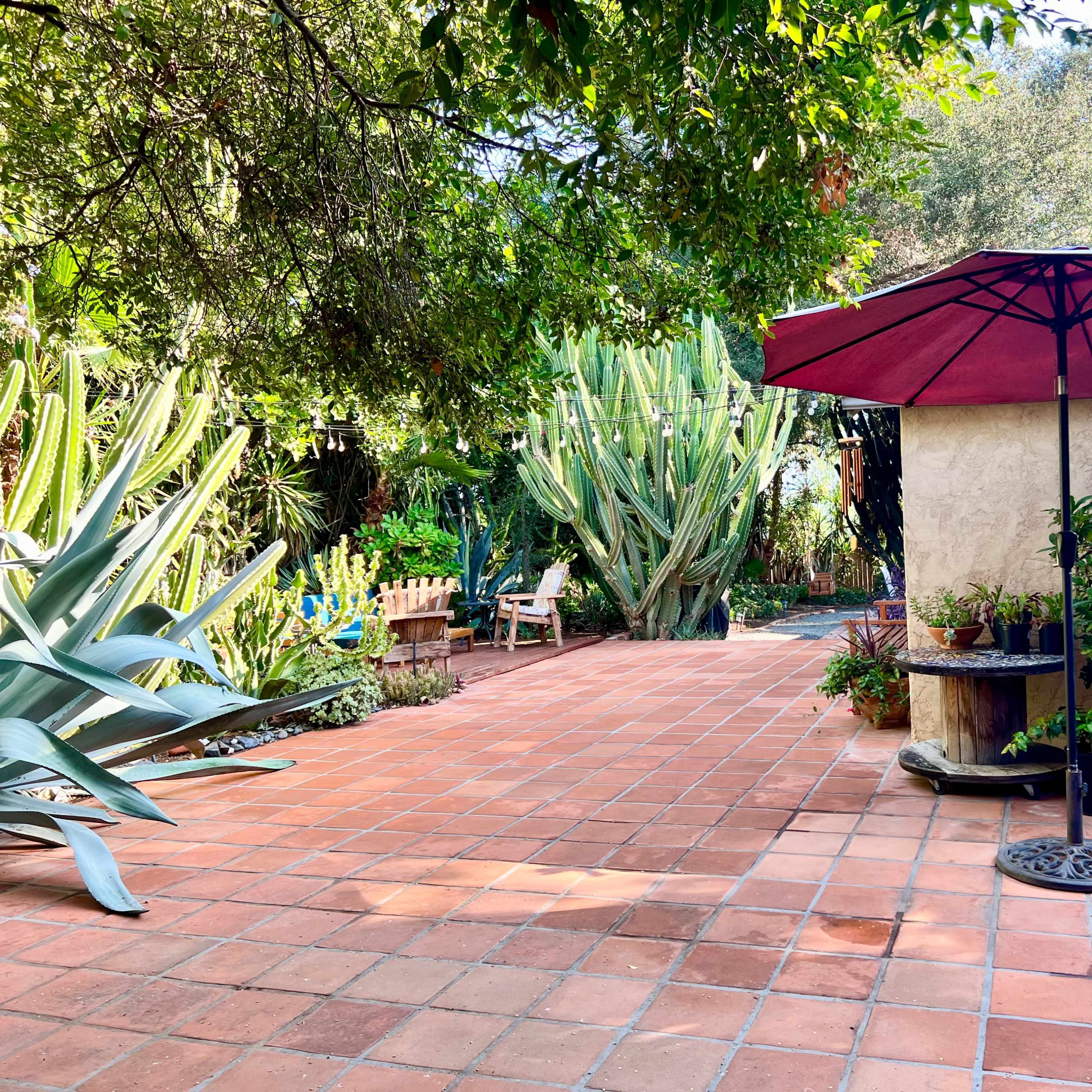 A patio area features a large red umbrella, surrounded by various plants and succulents, with terracotta tiles and a small seating area.