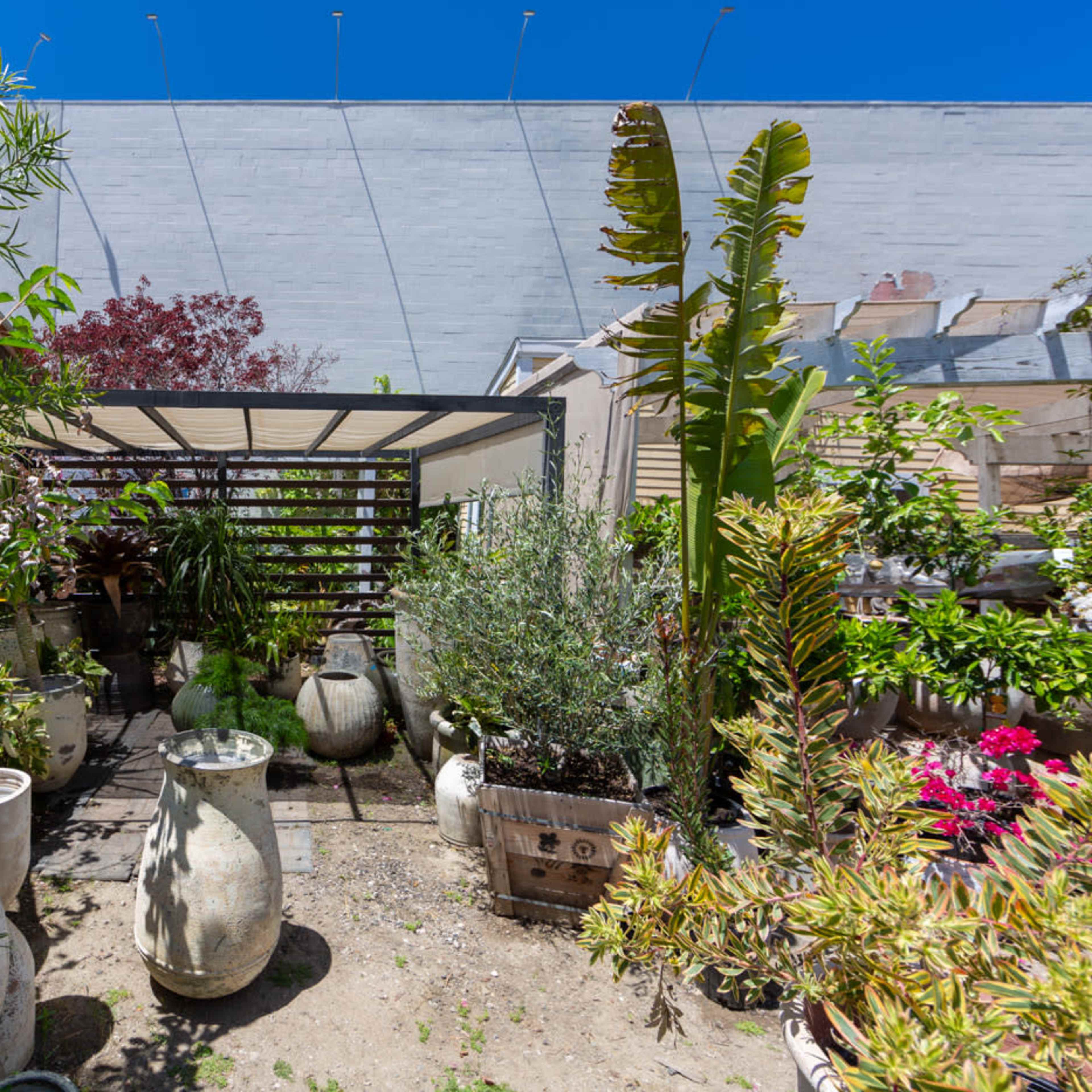 Hollywood Plant Nursery #147 | LA Garden Film Location Image in Hollywood, Los Angeles, CA
