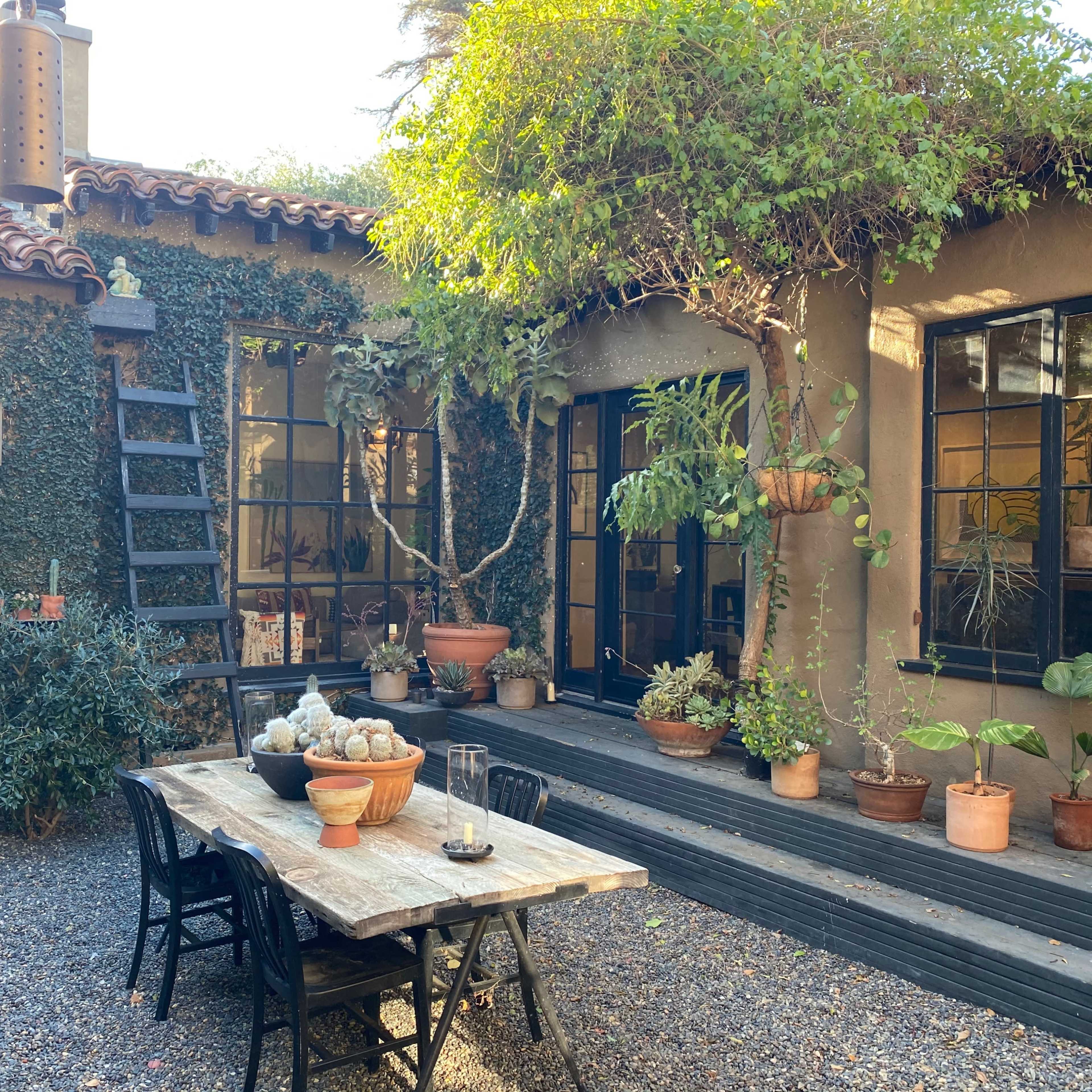 A rustic outdoor courtyard features a wooden table surrounded by potted plants and a stone pathway, with a vine-covered wall and large windows in the background.