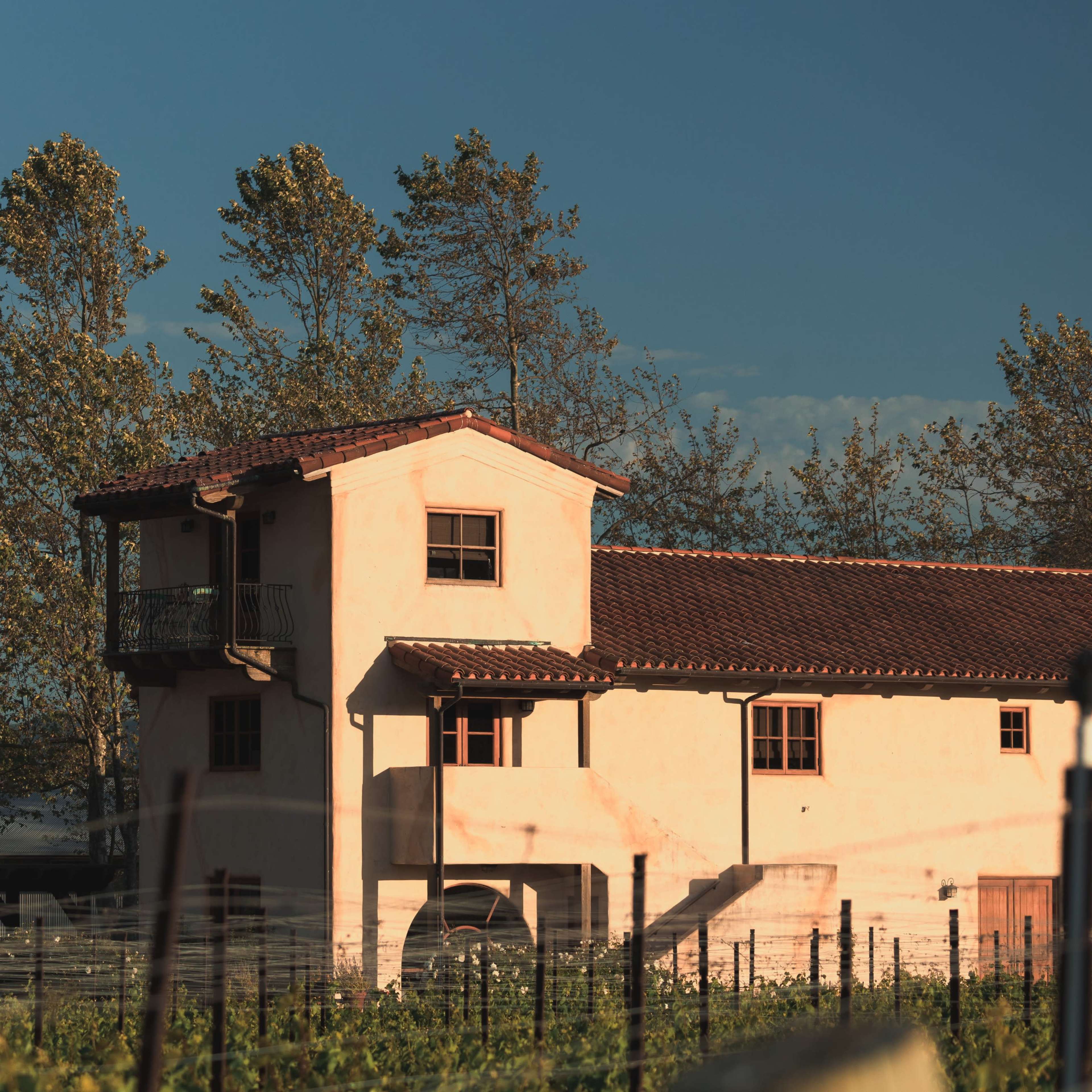 Slay Estate — Wine, Views, and Magic Image in , Lompoc, CA