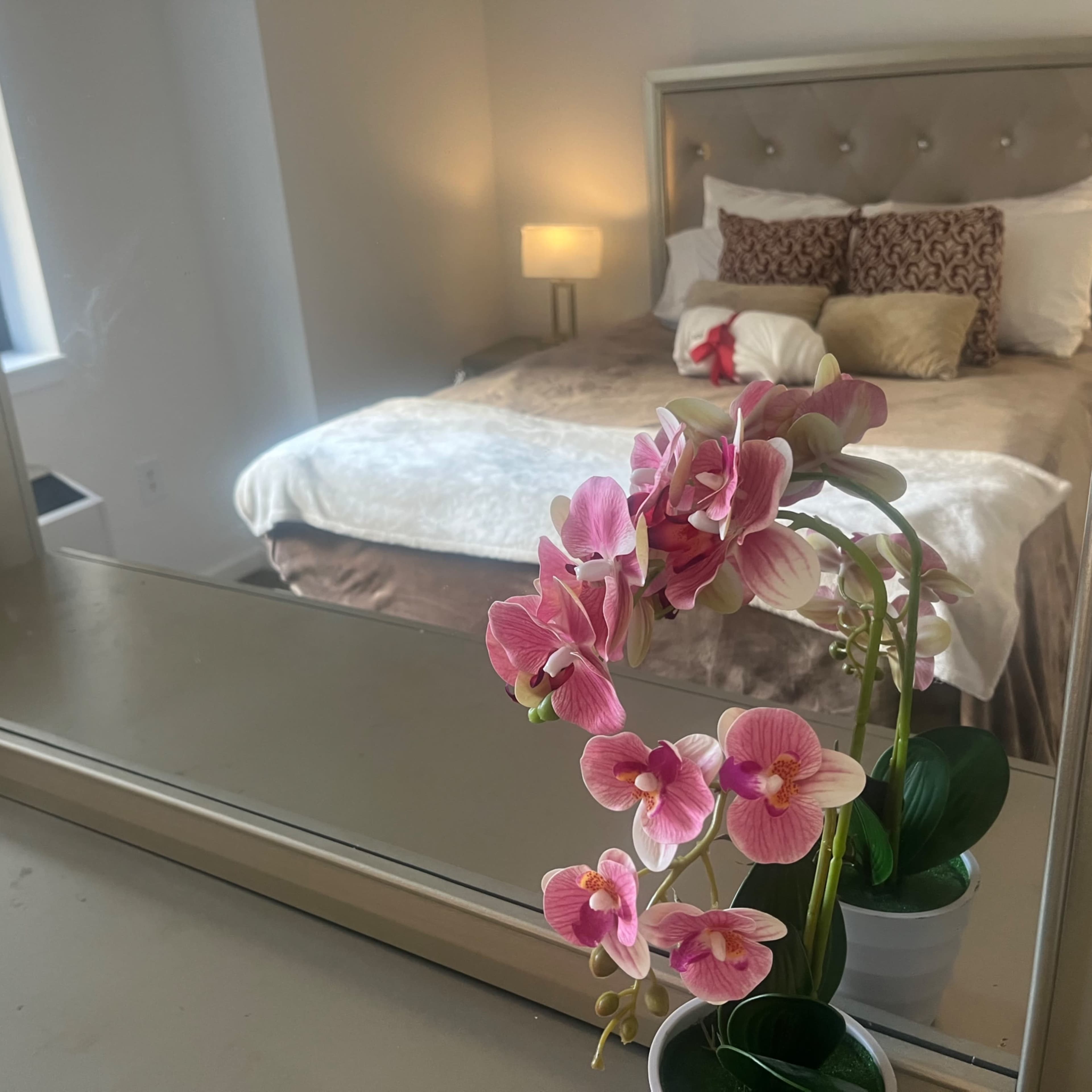 Lovely 1 Bedroom Apartment Near NYC! Image in Central Ward, Newark, NJ