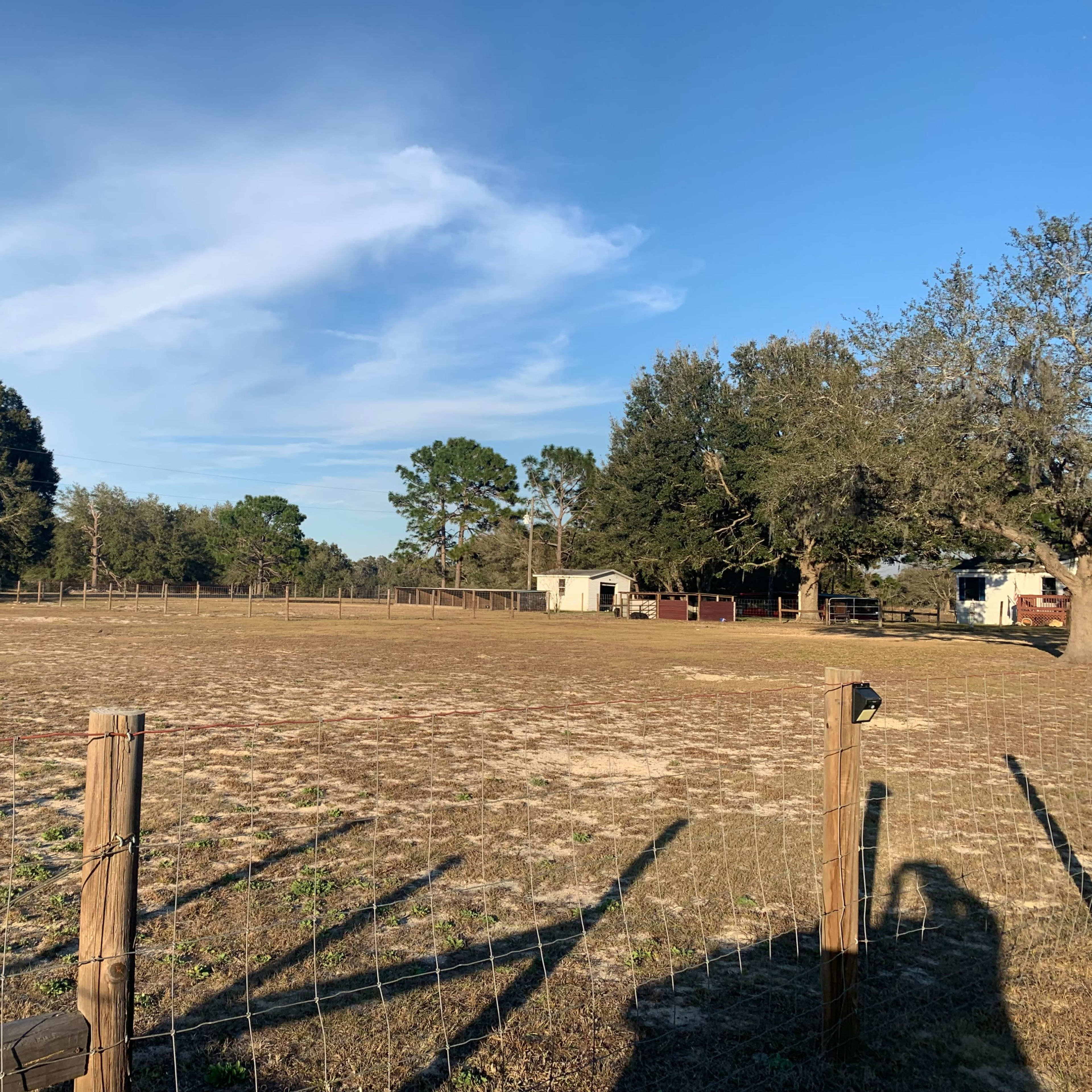 A fenced open field with sparse vegetation and trees, alongside a small building in the distance under a clear blue sky.